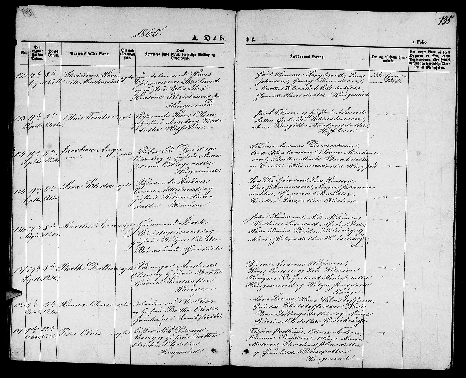 Torvastad sokneprestkontor, AV/SAST-A -101857/H/Ha/Hab/L0006: Parish register (copy) no. B 6, 1858-1867, p. 135