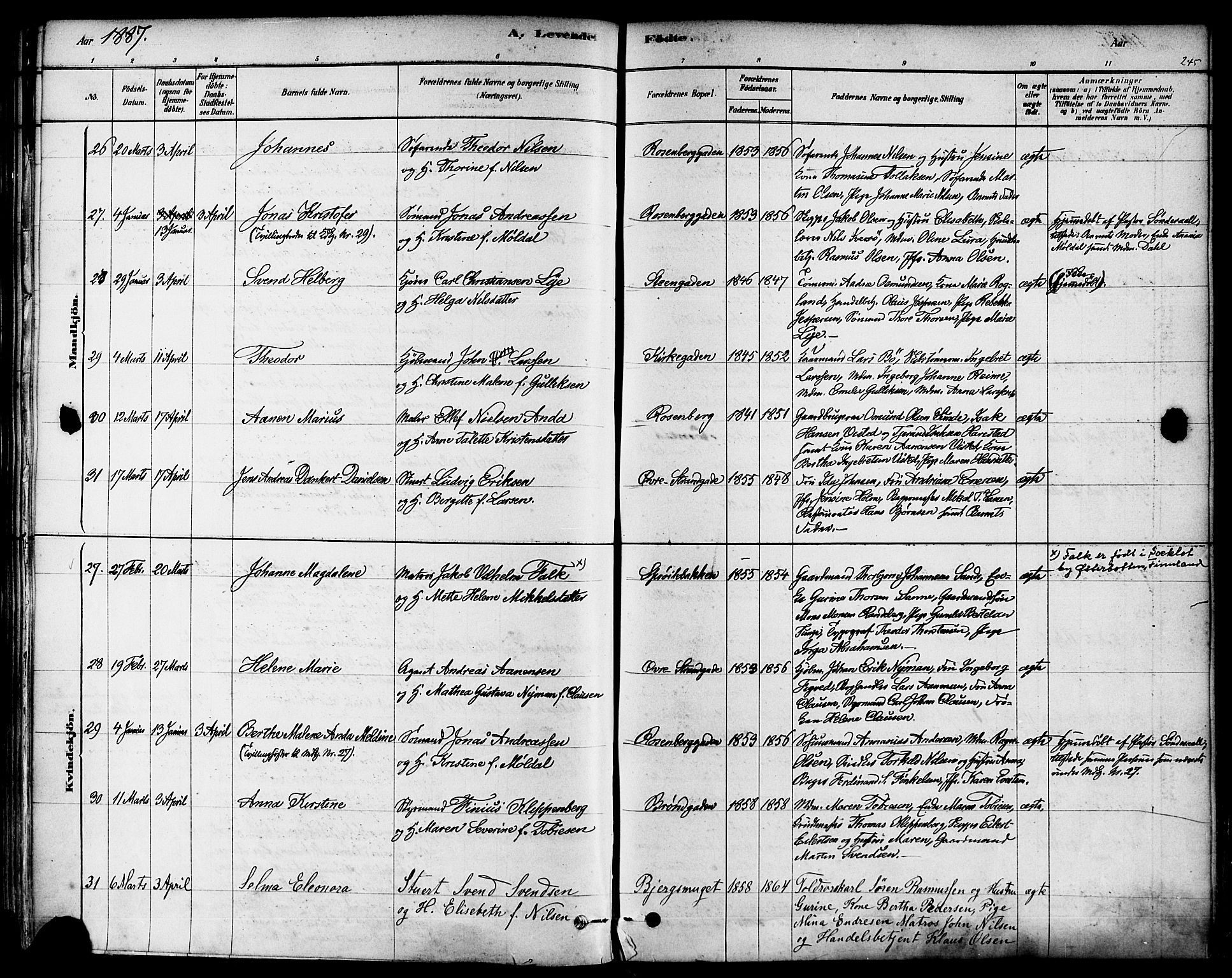Domkirken sokneprestkontor, SAST/A-101812/001/30/30BA/L0026: Parish register (official) no. A 25, 1878-1889, p. 245