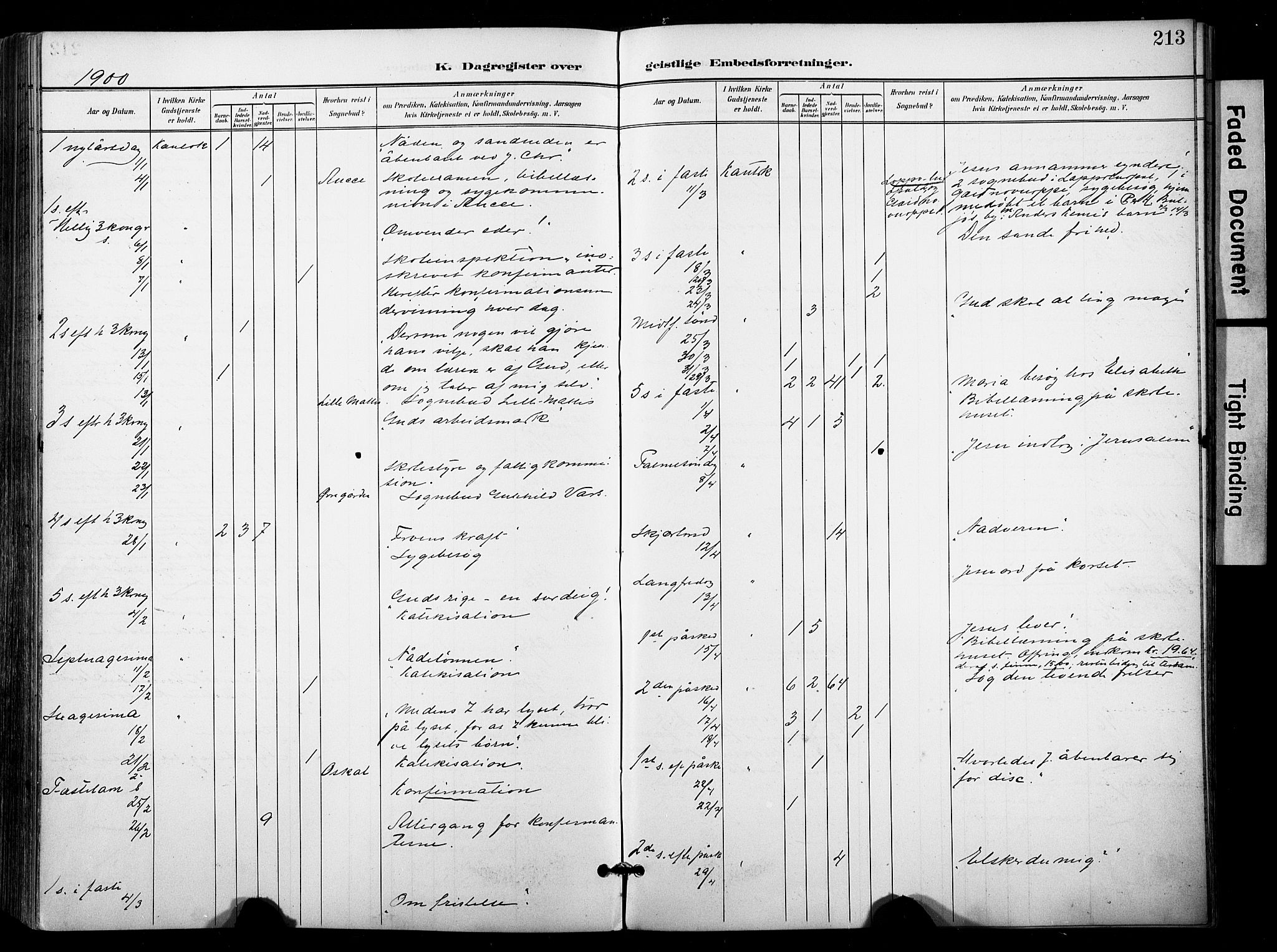 Kautokeino sokneprestembete, SATØ/S-1340/H/Ha/L0005.kirke: Parish register (official) no. 5, 1896-1916, p. 213