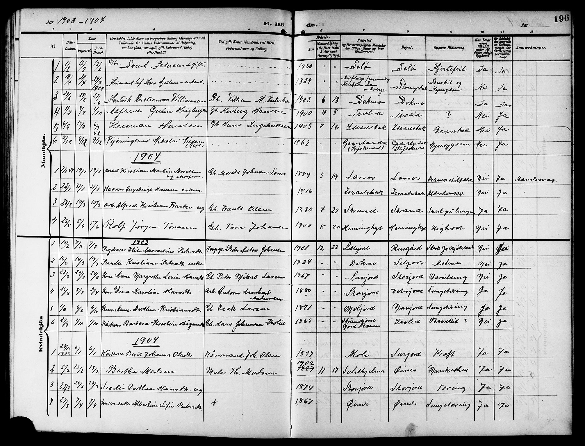 Ministerialprotokoller, klokkerbøker og fødselsregistre - Nordland, SAT/A-1459/846/L0655: Parish register (copy) no. 846C05, 1902-1916, p. 196