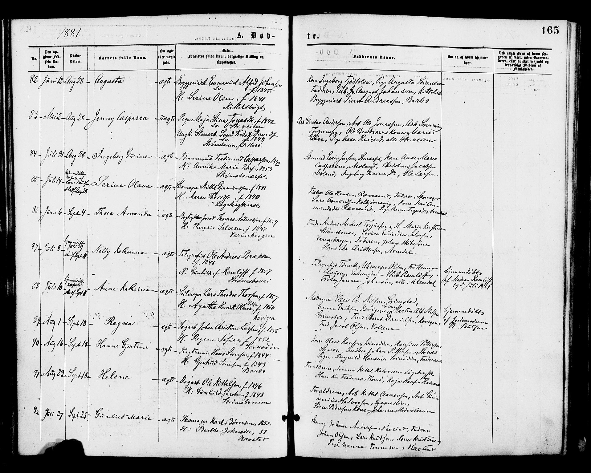 Barbu sokneprestkontor, AV/SAK-1111-0003/F/Fa/L0001: Parish register (official) no. A 1 /1, 1878-1883, p. 165