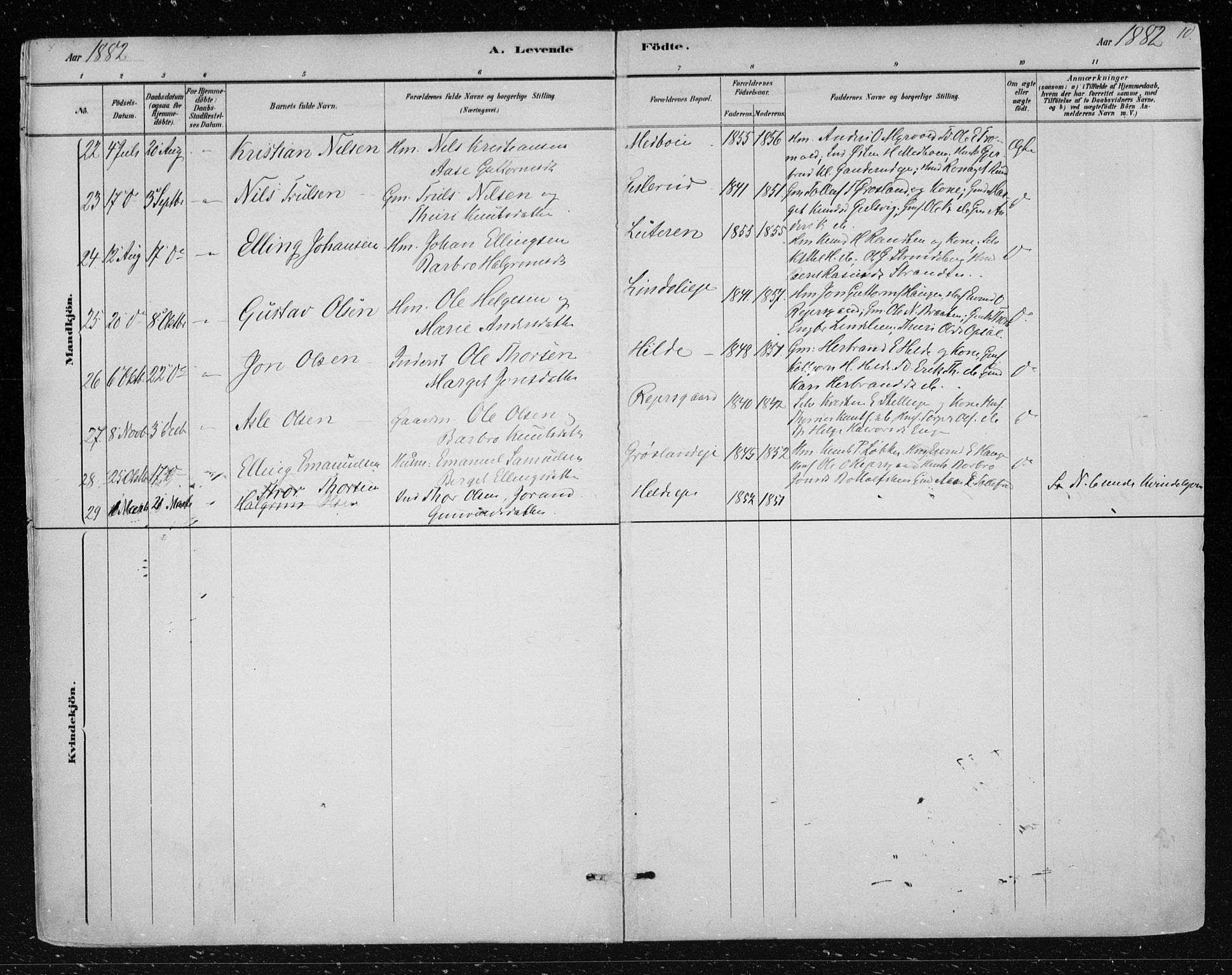 Nes kirkebøker, AV/SAKO-A-236/F/Fa/L0012: Parish register (official) no. 12, 1881-1917, p. 10
