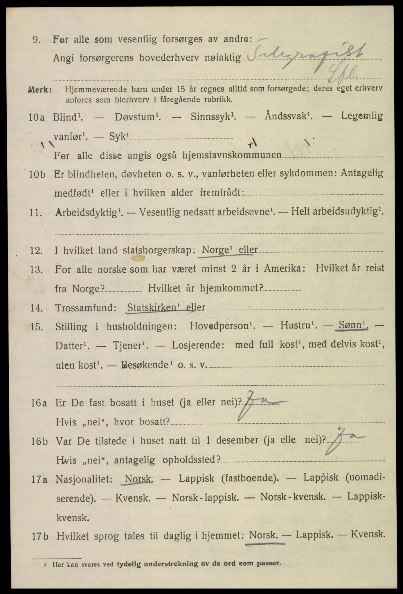 SAT, 1920 census for Narvik, 1920, p. 15409