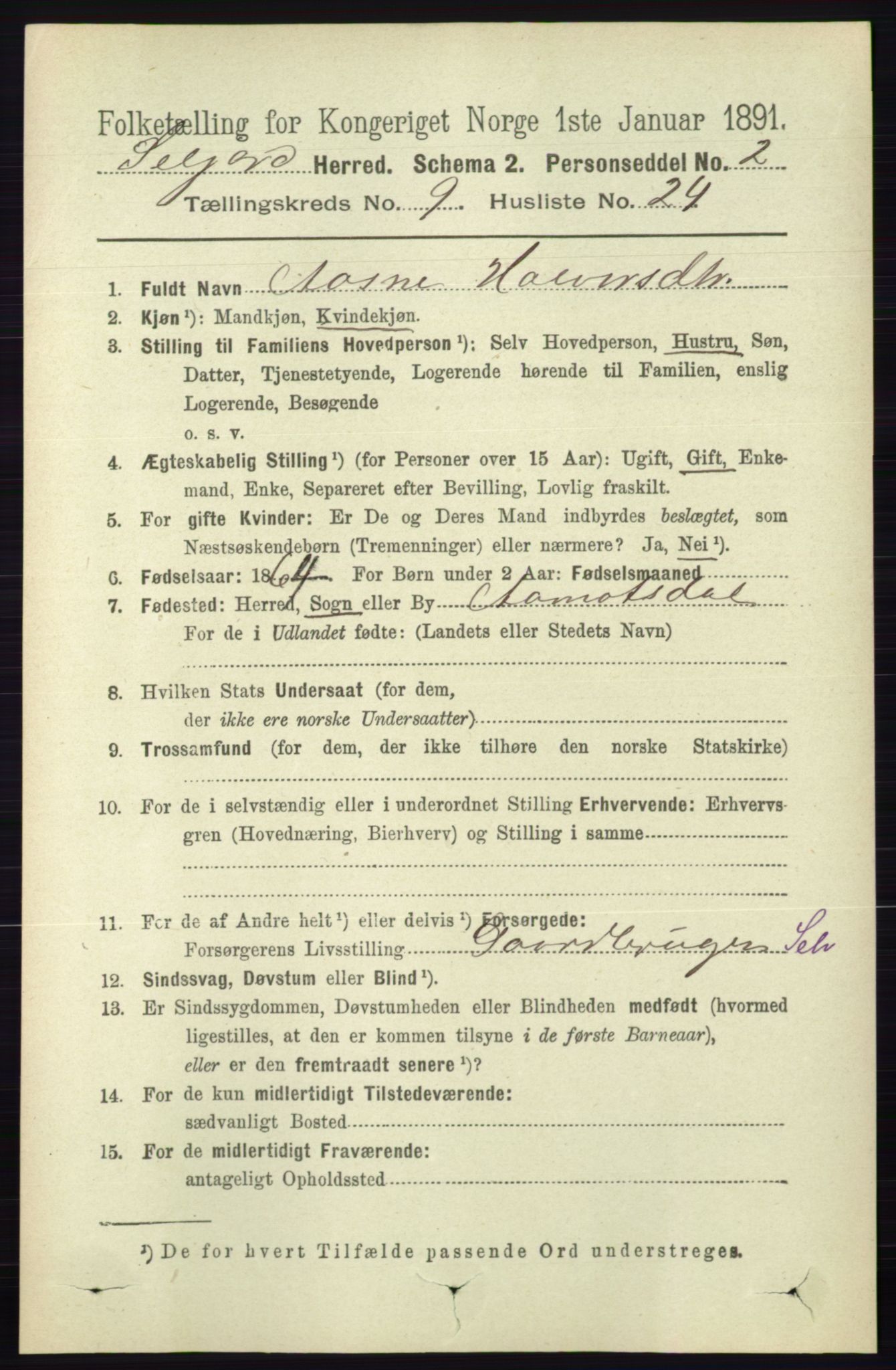 RA, 1891 census for 0828 Seljord, 1891, p. 3305