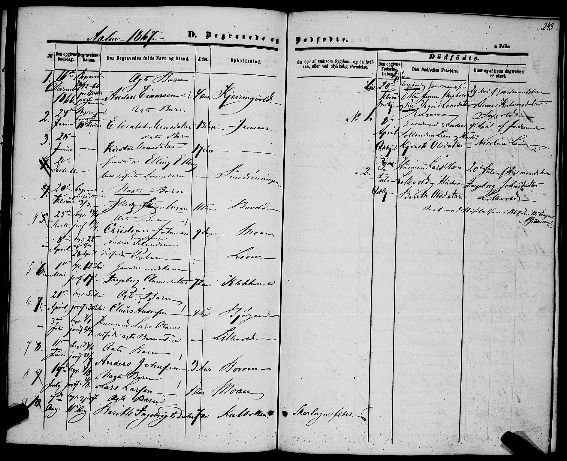 Ministerialprotokoller, klokkerbøker og fødselsregistre - Sør-Trøndelag, SAT/A-1456/685/L0968: Parish register (official) no. 685A07 /3, 1860-1869, p. 243
