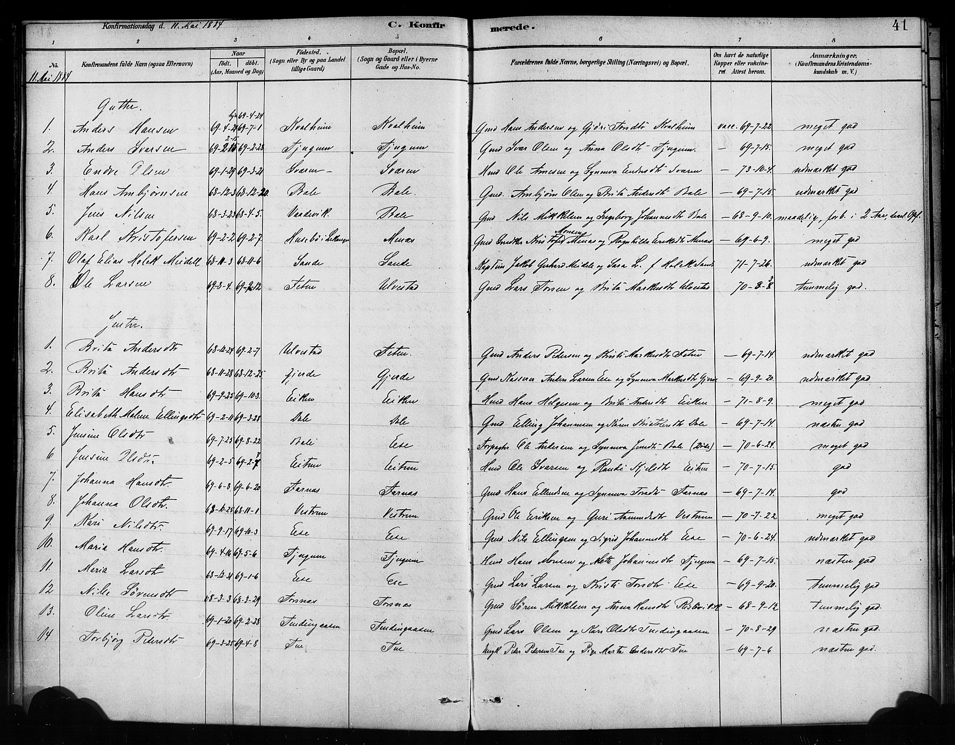 Balestrand sokneprestembete, AV/SAB-A-79601/H/Haa/Haaa/L0004: Parish register (official) no. A 4 / 1, 1879-1888, p. 41