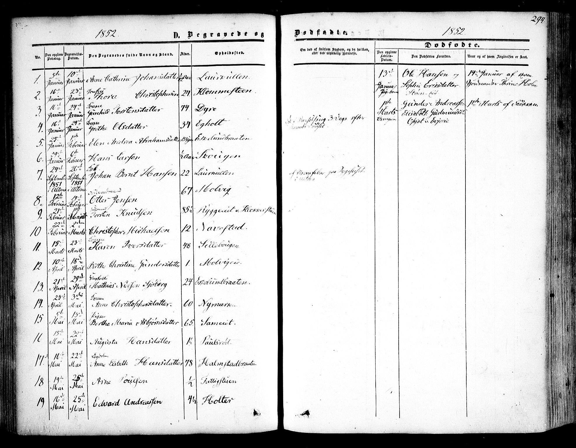 Rygge prestekontor Kirkebøker, SAO/A-10084b/F/Fa/L0005: Parish register (official) no. 5, 1852-1871, p. 294