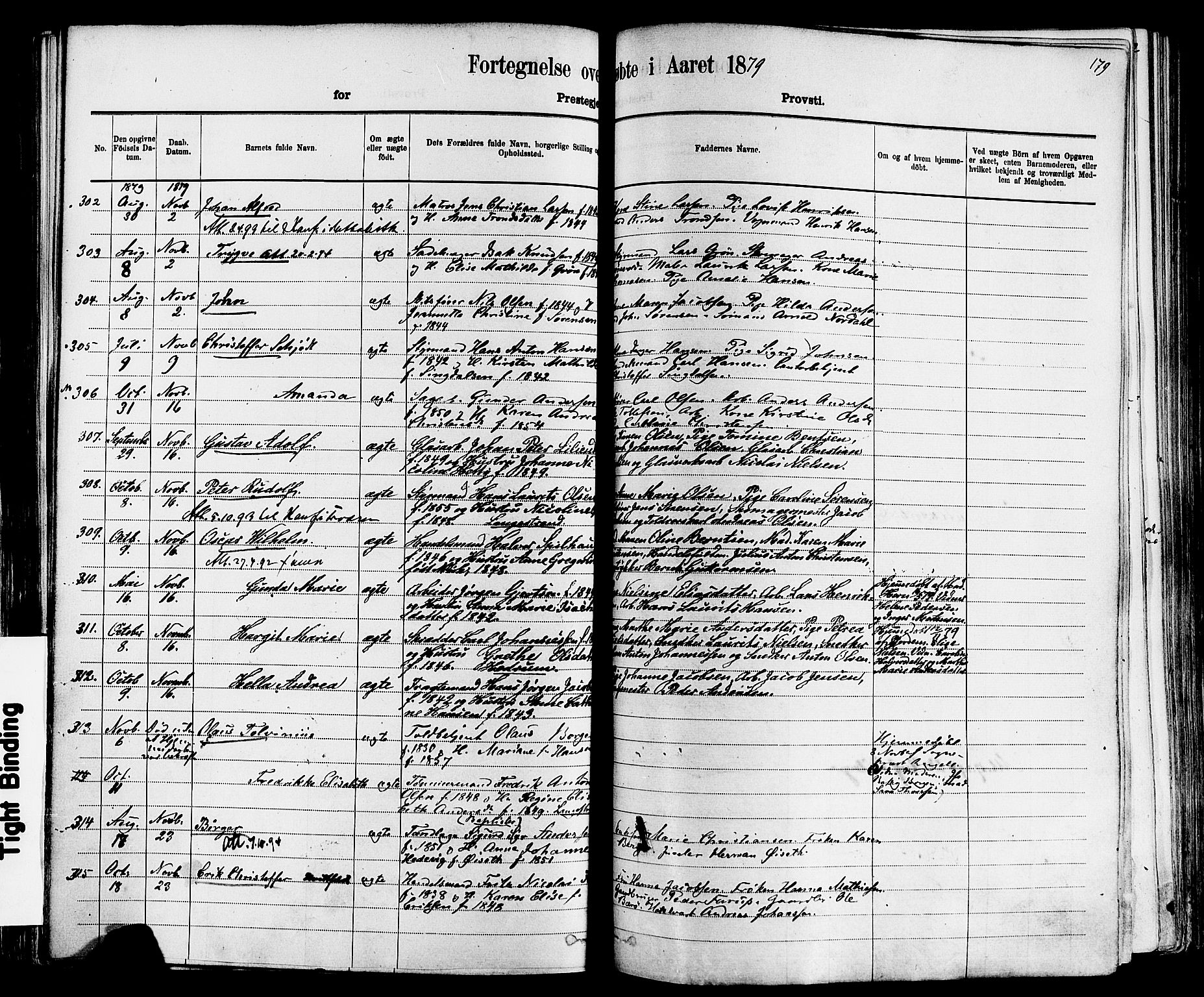 Larvik kirkebøker, AV/SAKO-A-352/F/Fa/L0006: Parish register (official) no. I 6, 1871-1883, p. 179