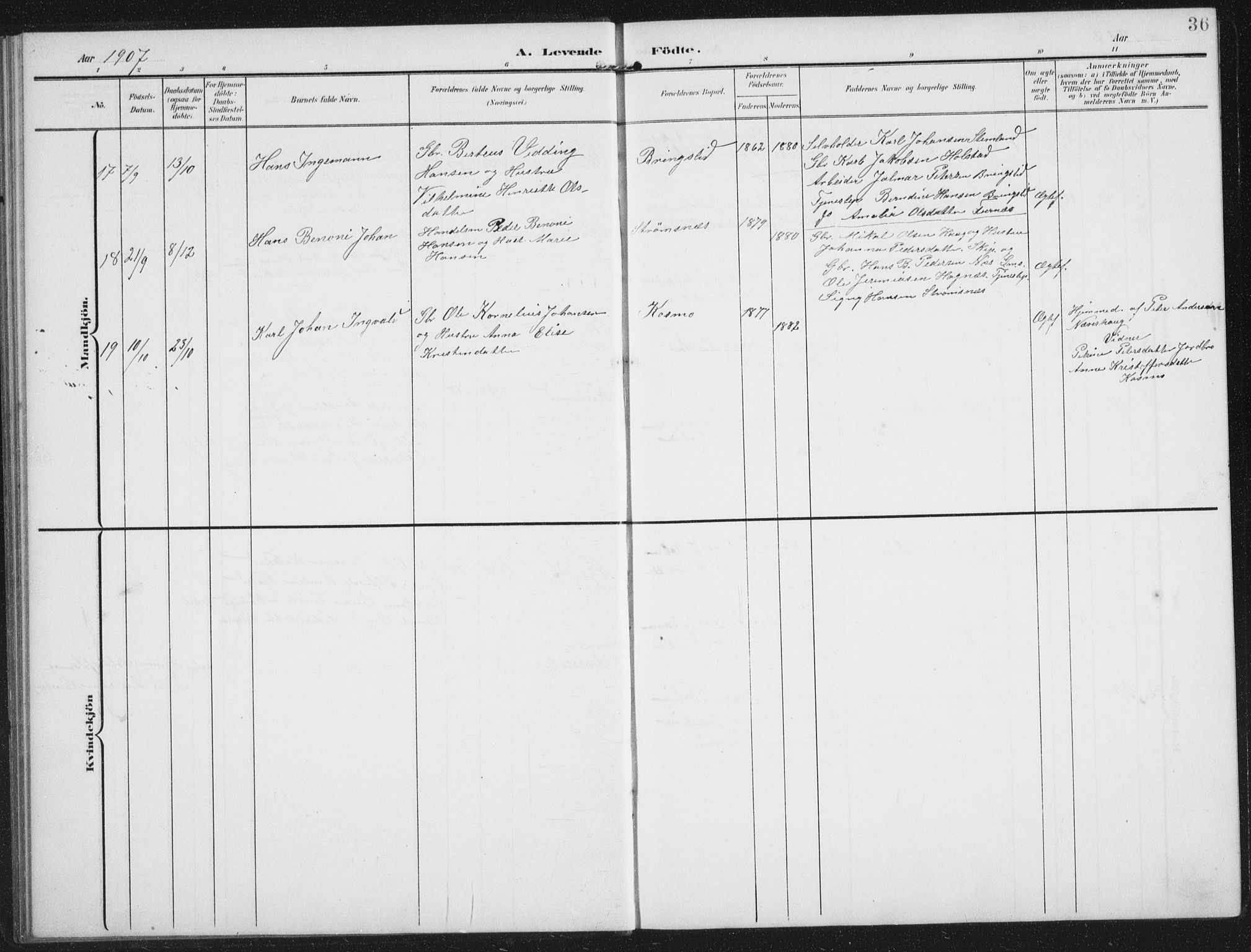 Ministerialprotokoller, klokkerbøker og fødselsregistre - Nordland, AV/SAT-A-1459/851/L0726: Parish register (copy) no. 851C01, 1902-1924, p. 36