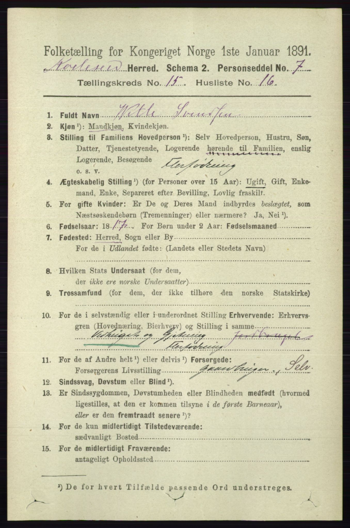 RA, 1891 census for 0829 Kviteseid, 1891, p. 3603