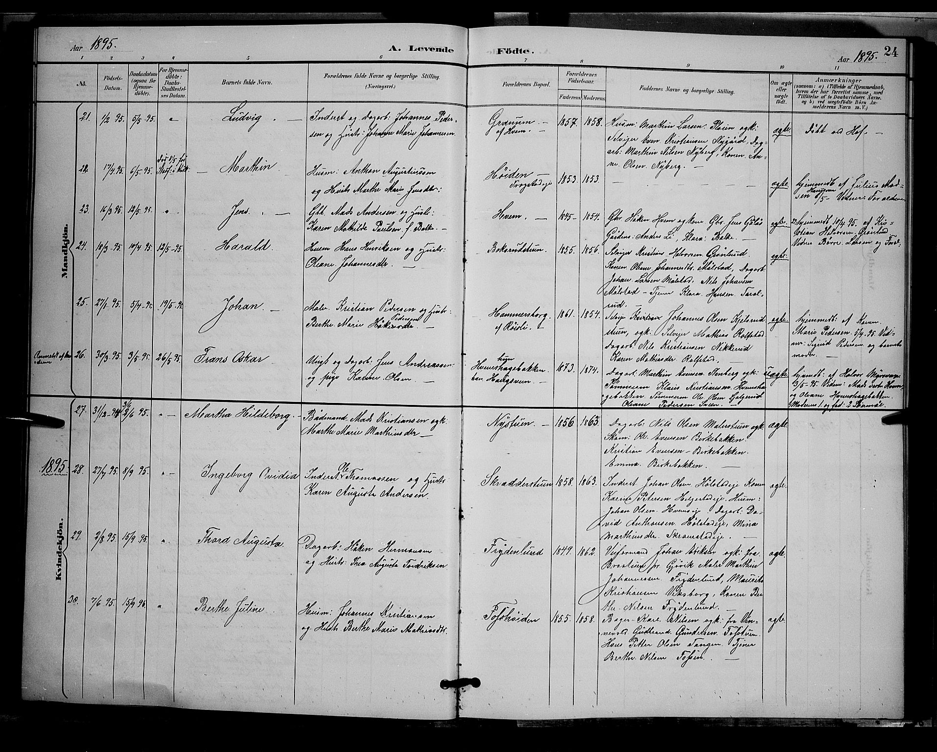 Østre Toten prestekontor, AV/SAH-PREST-104/H/Ha/Hab/L0006: Parish register (copy) no. 6, 1893-1901, p. 24