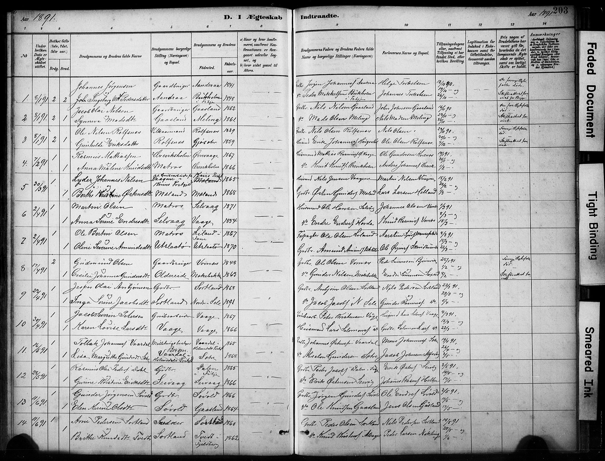 Finnås sokneprestembete, SAB/A-99925/H/Ha/Hab/Habb/L0003: Parish register (copy) no. B 3, 1882-1897, p. 203