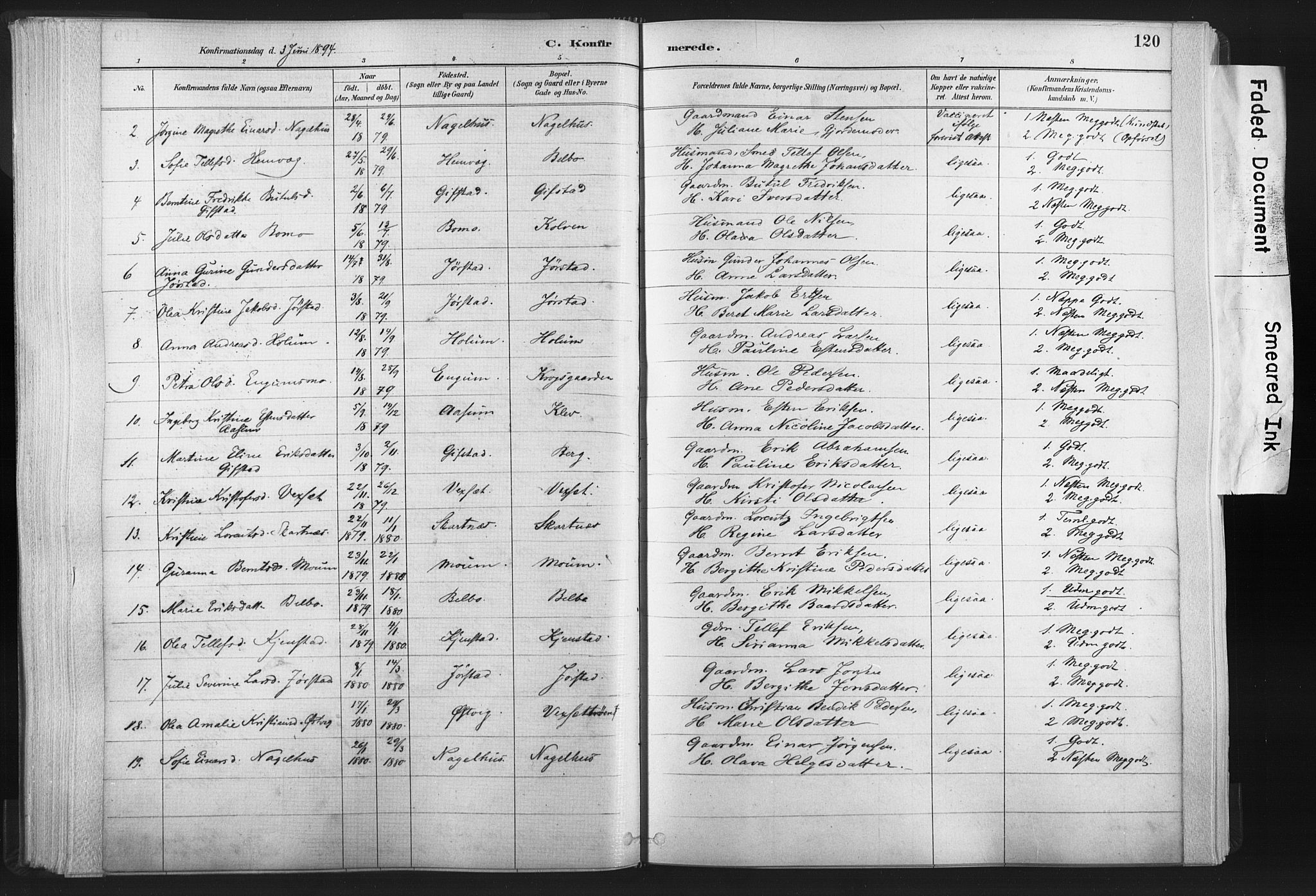 Ministerialprotokoller, klokkerbøker og fødselsregistre - Nord-Trøndelag, SAT/A-1458/749/L0474: Parish register (official) no. 749A08, 1887-1903, p. 120