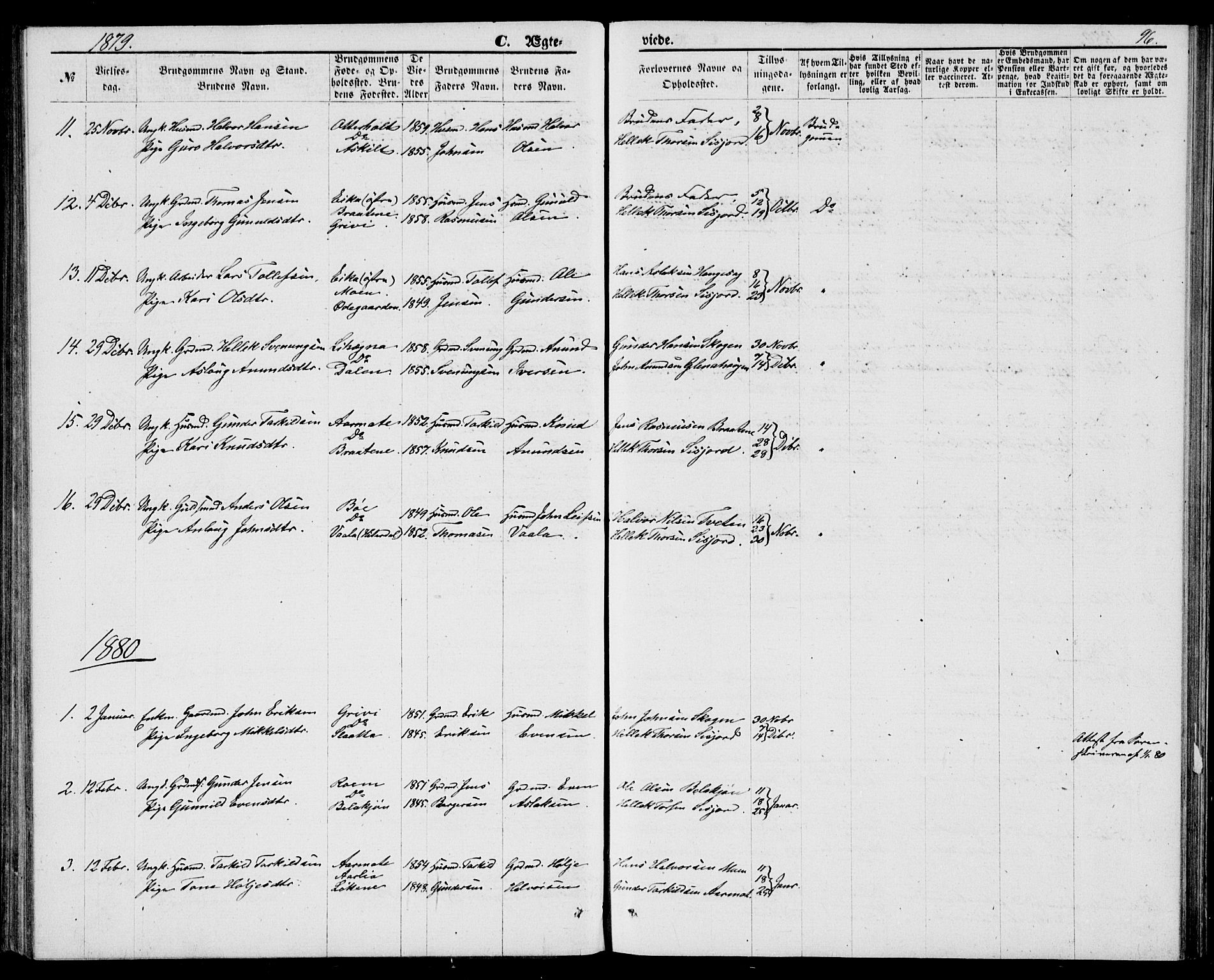 Bø kirkebøker, AV/SAKO-A-257/G/Ga/L0004: Parish register (copy) no. 4, 1876-1882, p. 96