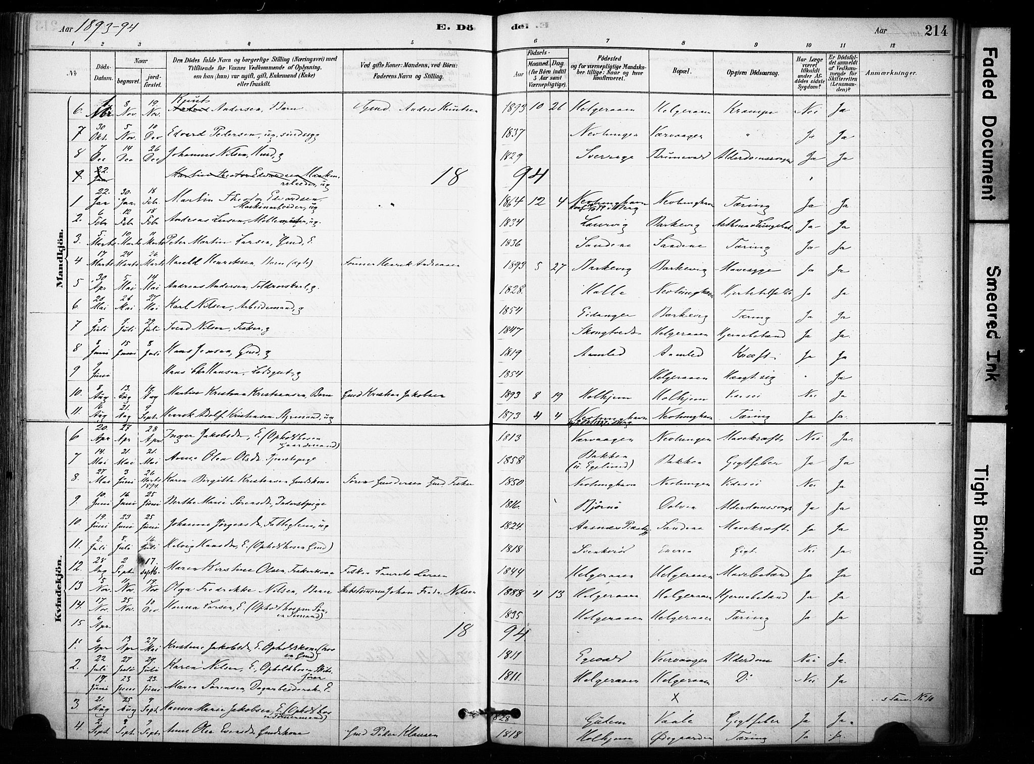 Brunlanes kirkebøker, AV/SAKO-A-342/F/Fb/L0001: Parish register (official) no. II 1, 1878-1899, p. 214