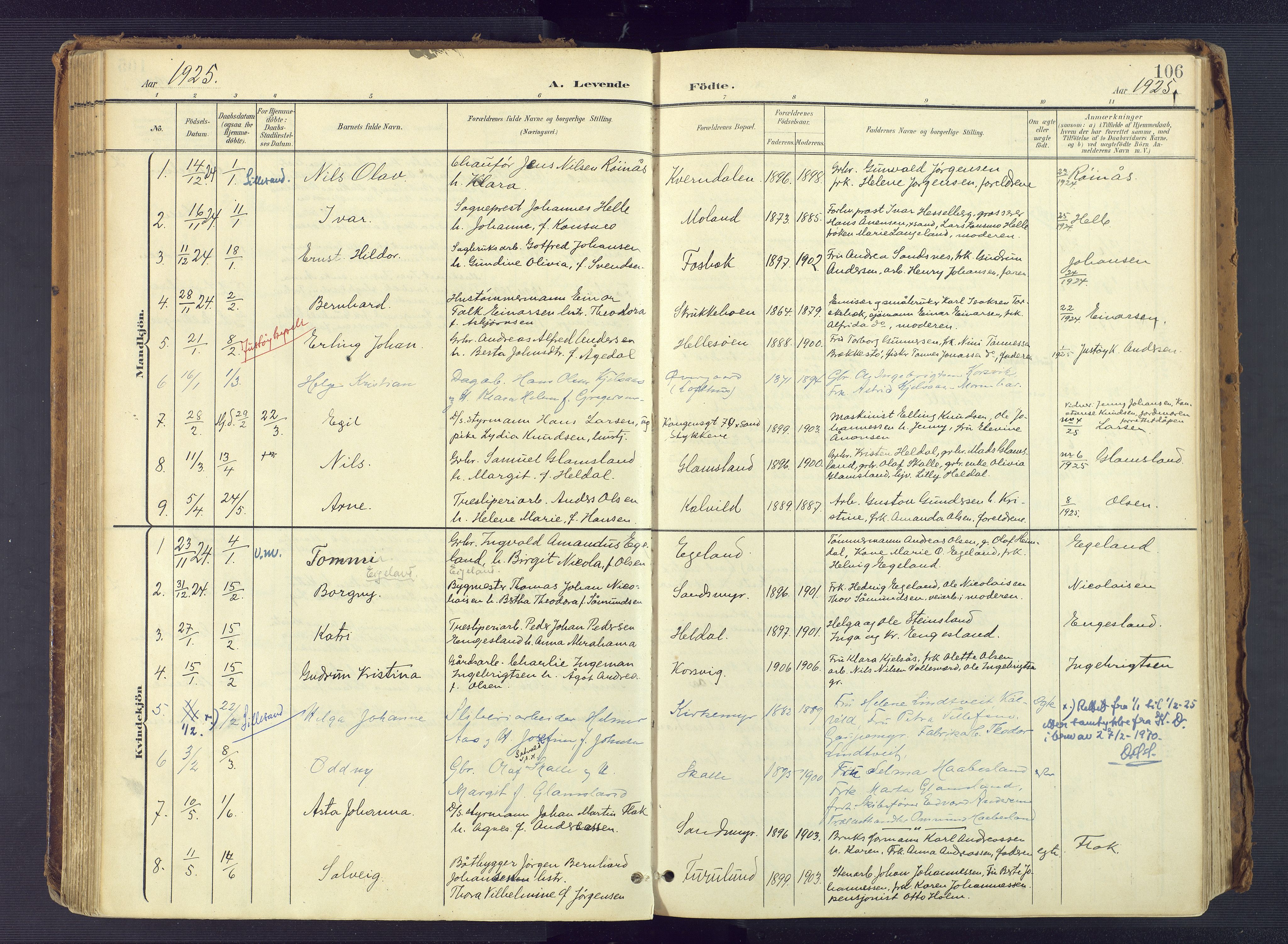 Vestre Moland sokneprestkontor, AV/SAK-1111-0046/F/Fa/Fab/L0010: Parish register (official) no. A 10, 1900-1926, p. 106