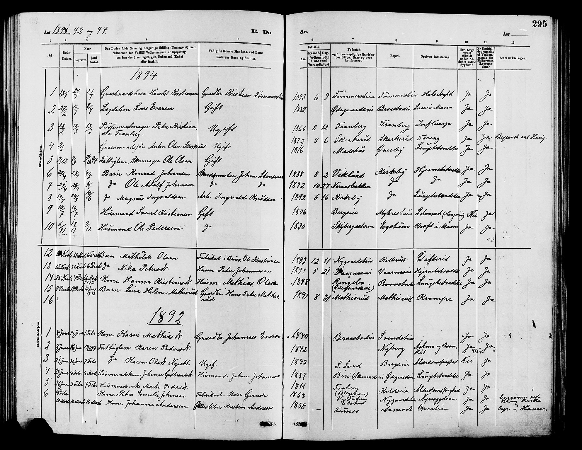Vardal prestekontor, SAH/PREST-100/H/Ha/Hab/L0007: Parish register (copy) no. 7 /1, 1881-1895, p. 295