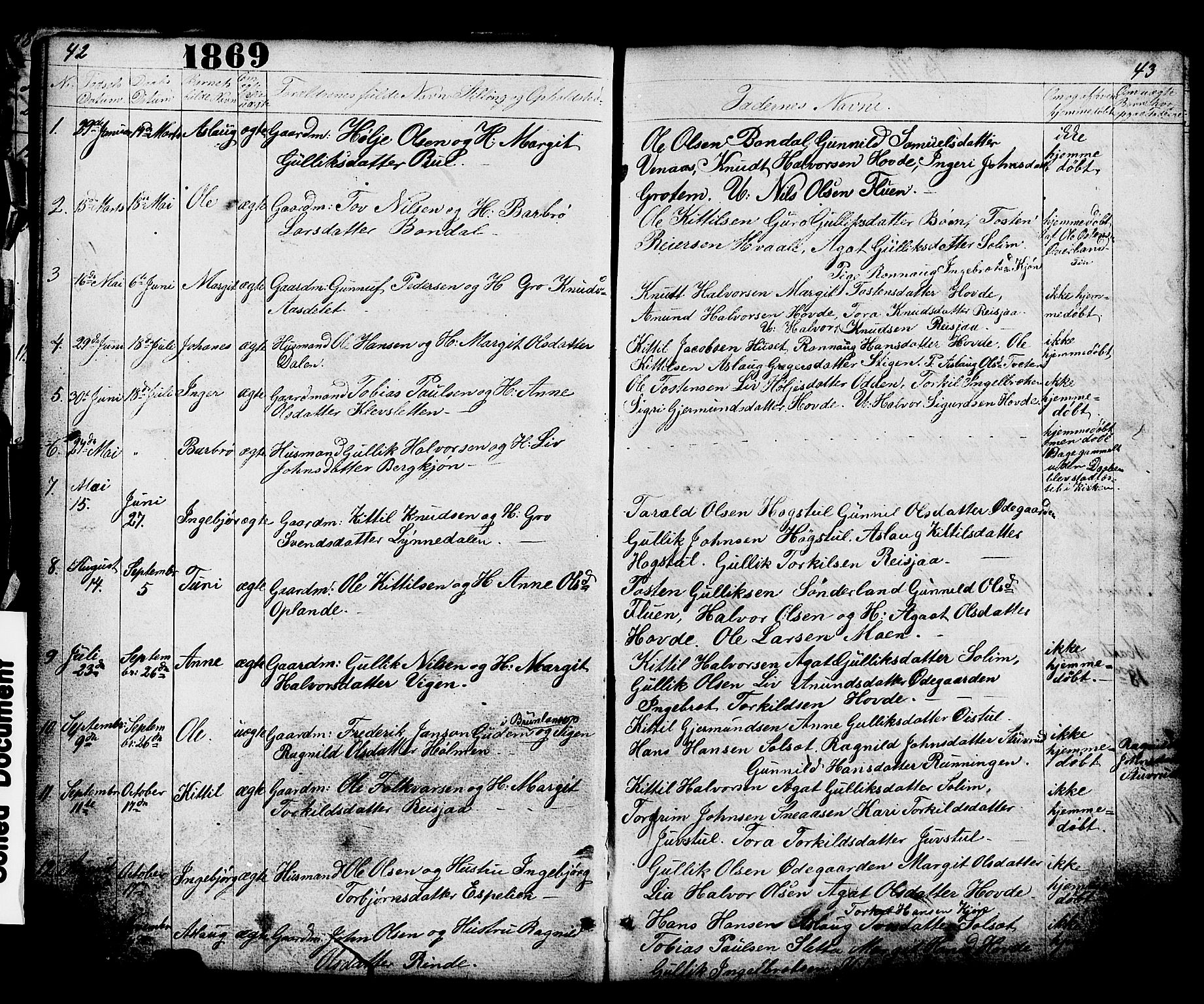 Hjartdal kirkebøker, SAKO/A-270/G/Gc/L0002: Parish register (copy) no. III 2, 1854-1890, p. 42-43