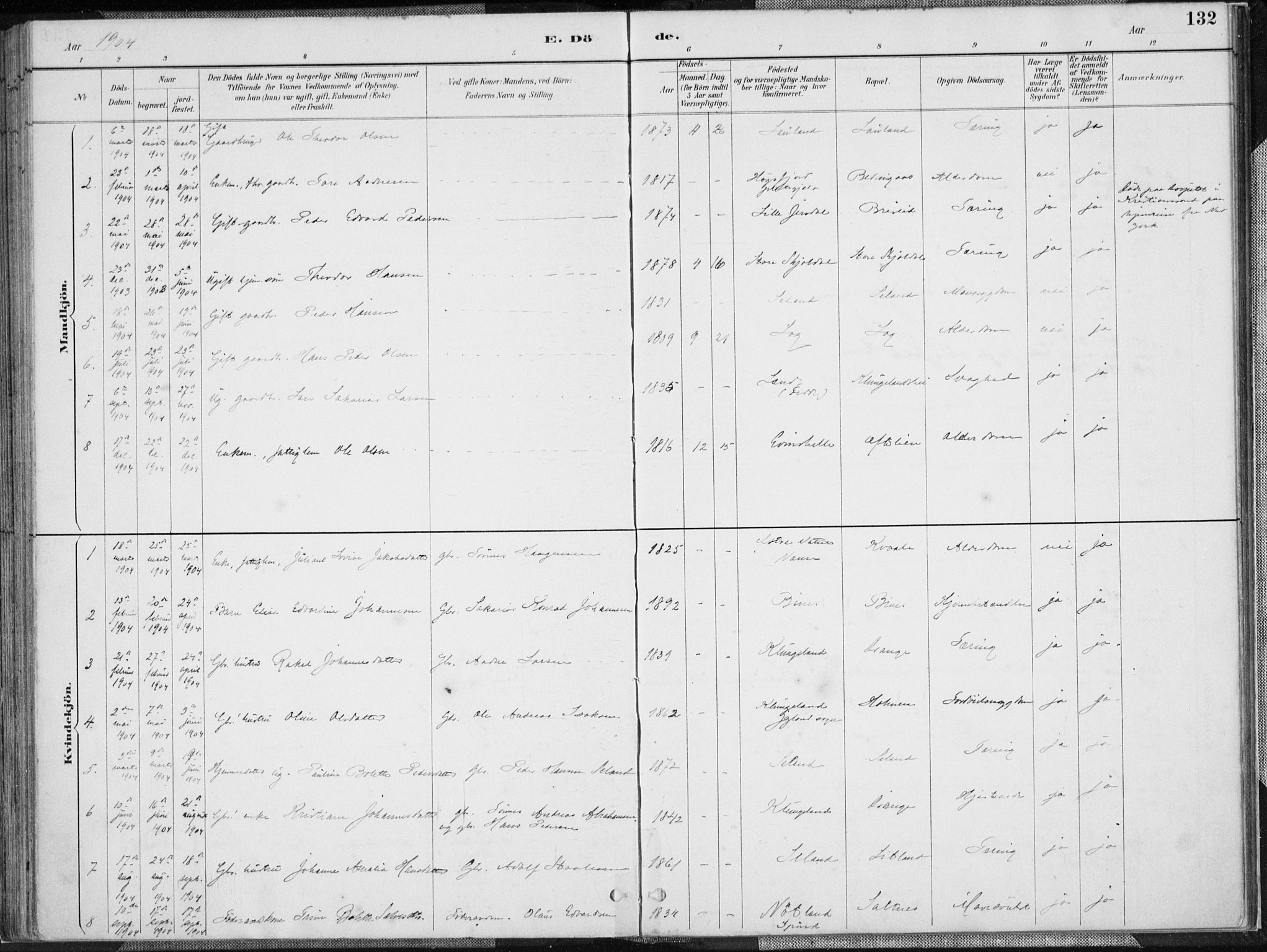 Herad sokneprestkontor, SAK/1111-0018/F/Fa/Faa/L0006: Parish register (official) no. A 6, 1887-1907, p. 132