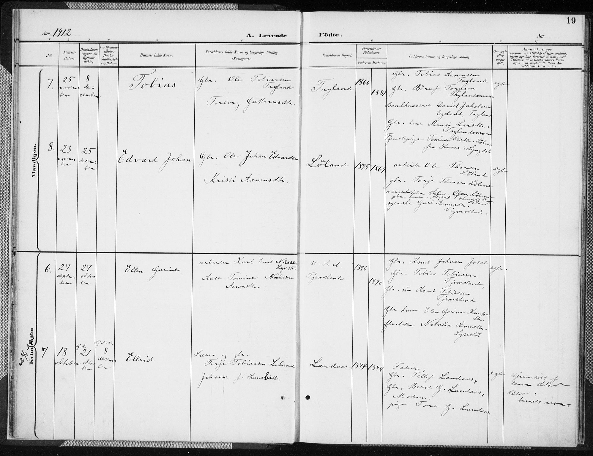 Nord-Audnedal sokneprestkontor, SAK/1111-0032/F/Fa/Fab/L0004: Parish register (official) no. A 4, 1901-1917, p. 19