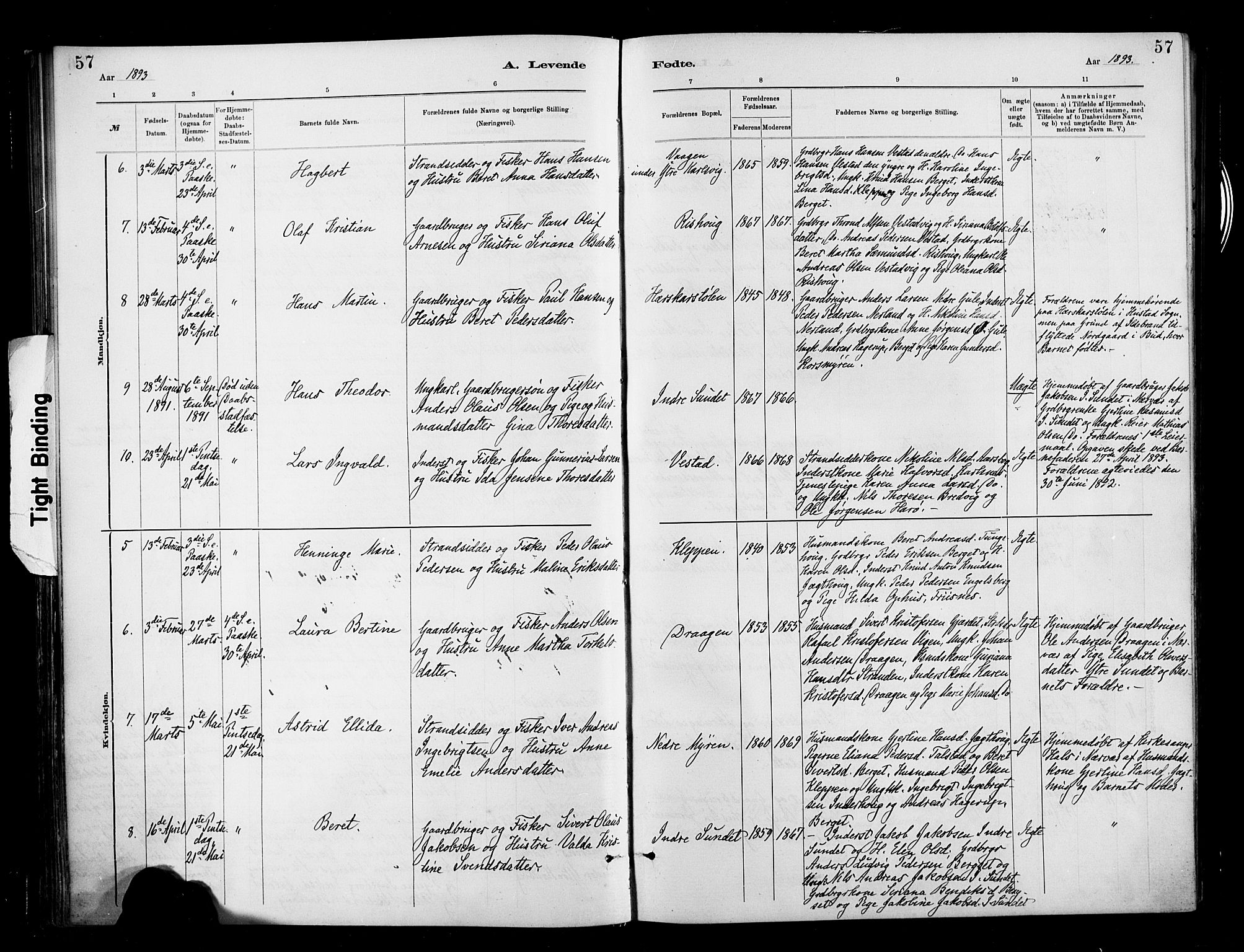 Ministerialprotokoller, klokkerbøker og fødselsregistre - Møre og Romsdal, AV/SAT-A-1454/566/L0769: Parish register (official) no. 566A08, 1881-1903, p. 57