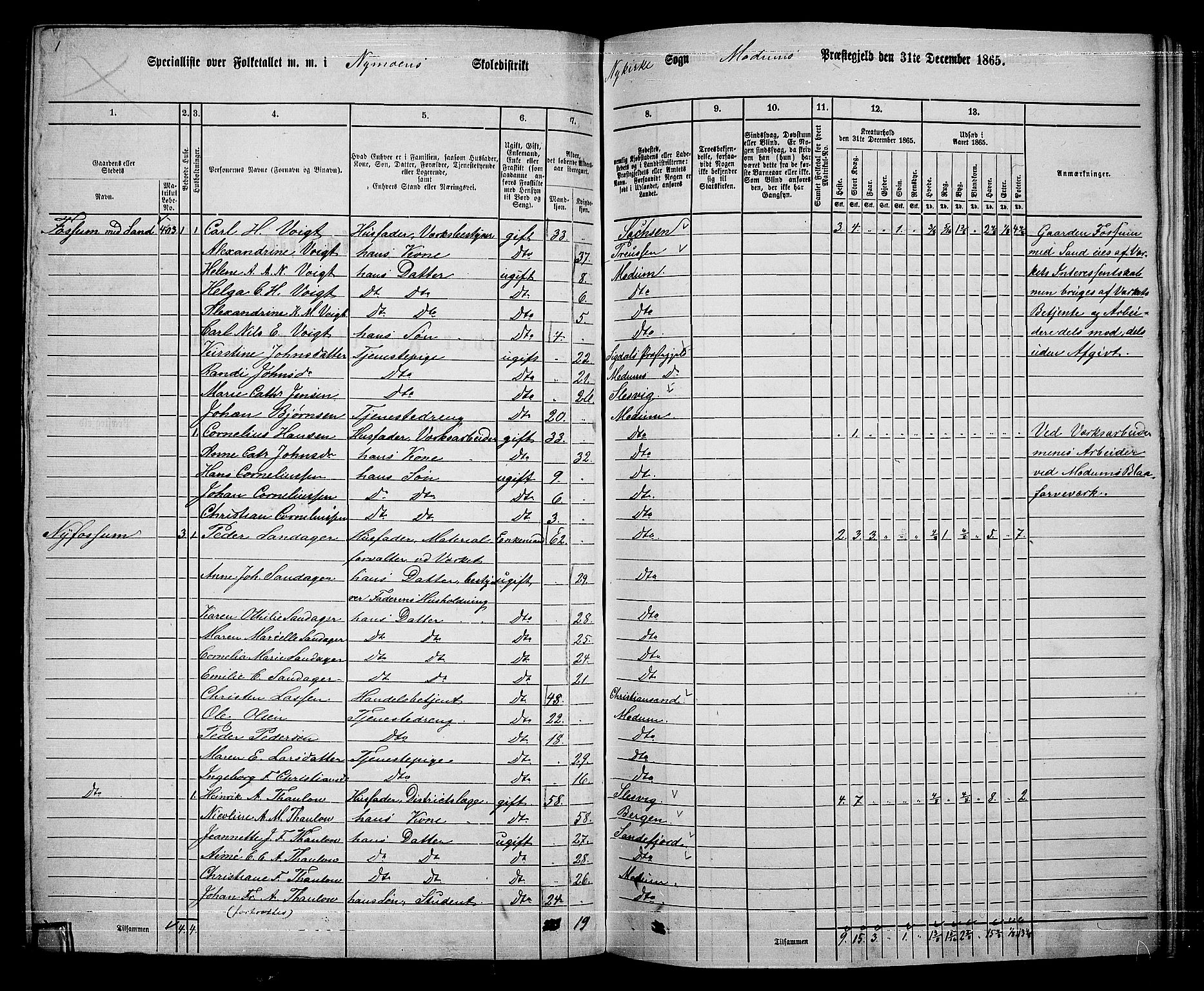 RA, 1865 census for Modum, 1865, p. 226