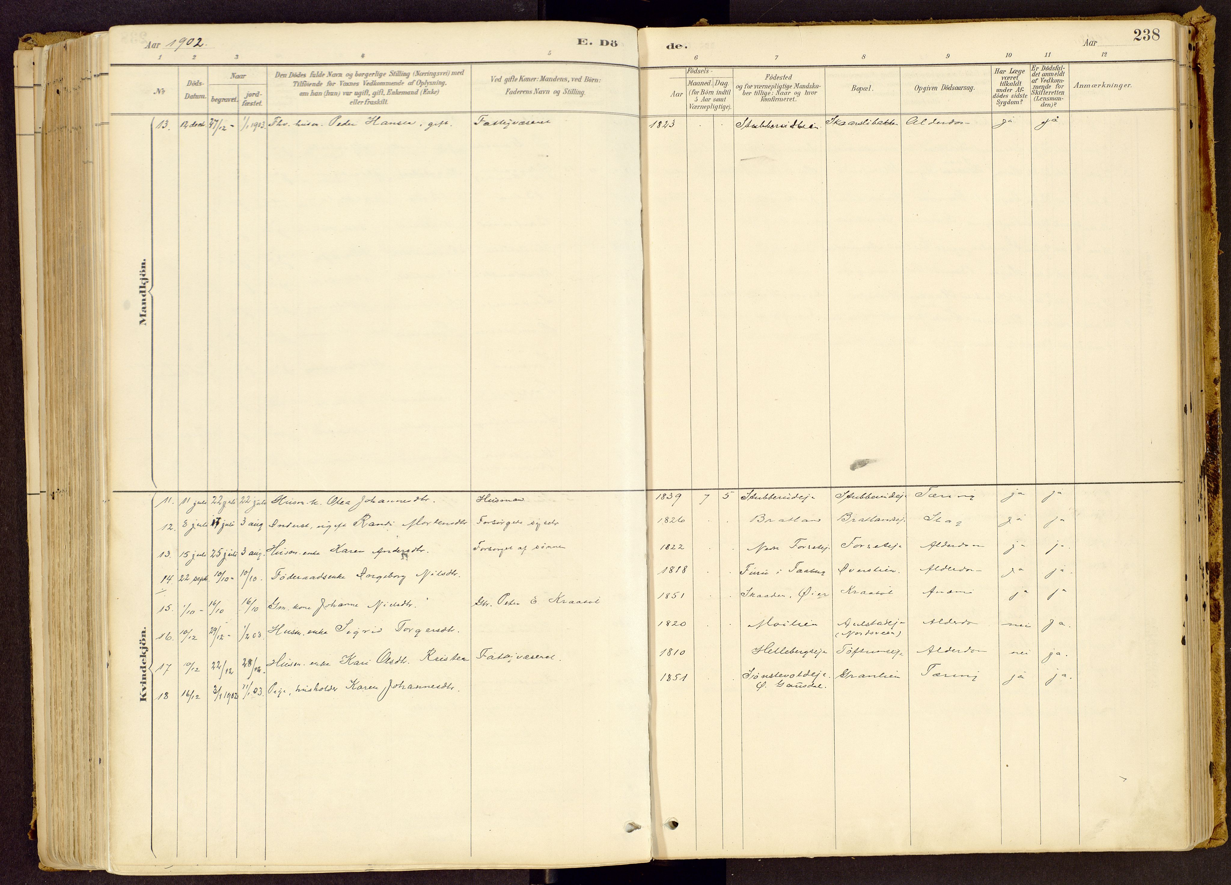 Vestre Gausdal prestekontor, SAH/PREST-094/H/Ha/Haa/L0001: Parish register (official) no. 1, 1887-1914, p. 238
