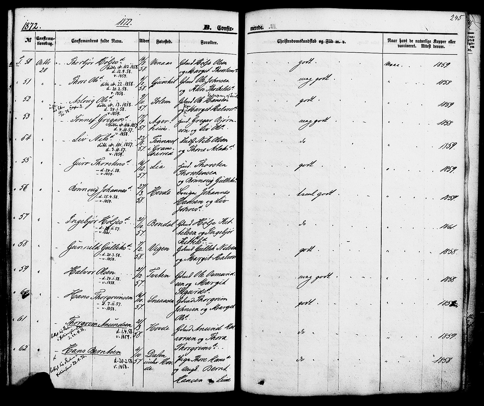Hjartdal kirkebøker, SAKO/A-270/F/Fa/L0009: Parish register (official) no. I 9, 1860-1879, p. 245