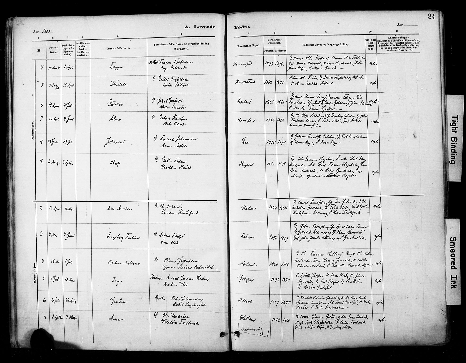 Hetland sokneprestkontor, AV/SAST-A-101826/30/30BA/L0010: Parish register (official) no. A 10, 1882-1925, p. 24