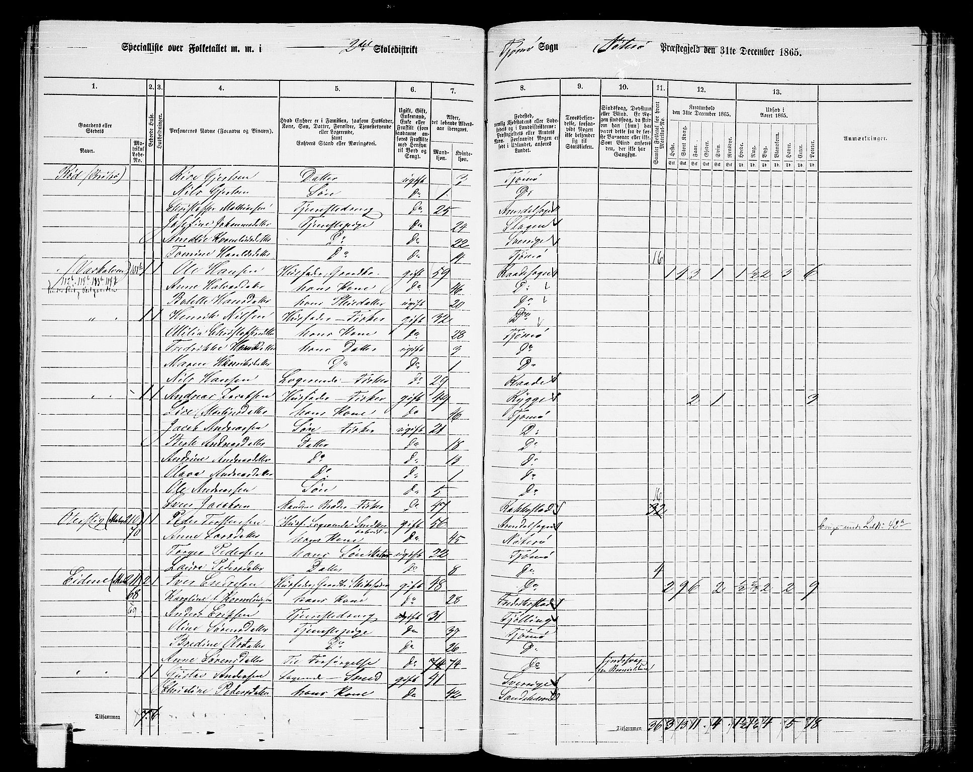 RA, 1865 census for Nøtterøy, 1865, p. 255