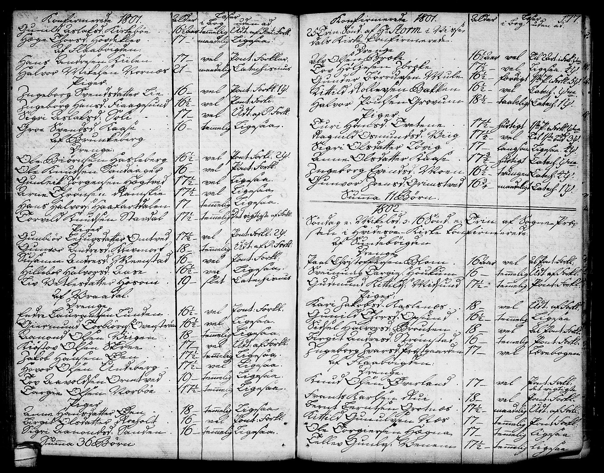 Kviteseid kirkebøker, AV/SAKO-A-276/F/Fa/L0004: Parish register (official) no. I 4, 1800-1814, p. 177