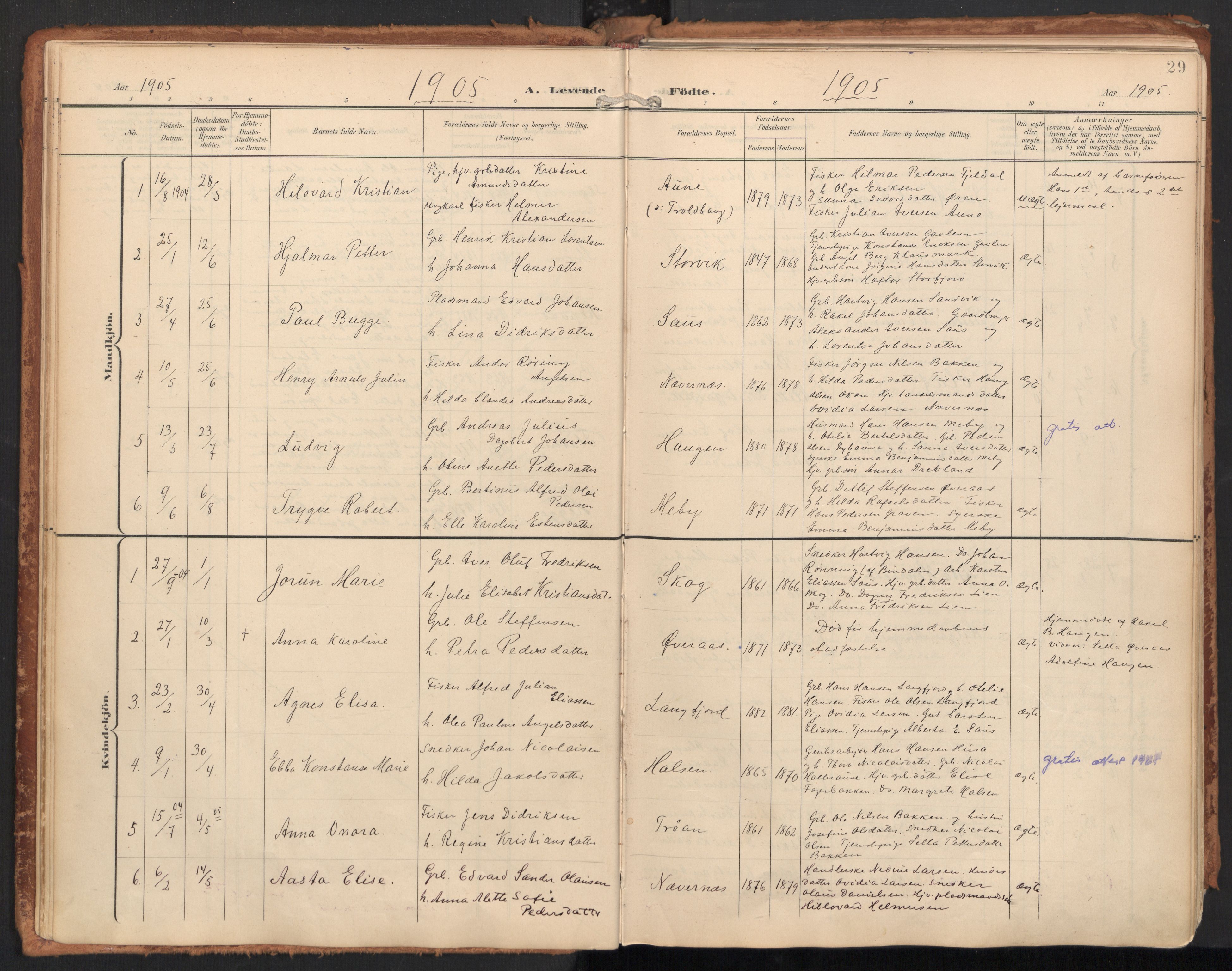 Ministerialprotokoller, klokkerbøker og fødselsregistre - Nordland, SAT/A-1459/814/L0227: Parish register (official) no. 814A08, 1899-1920, p. 29