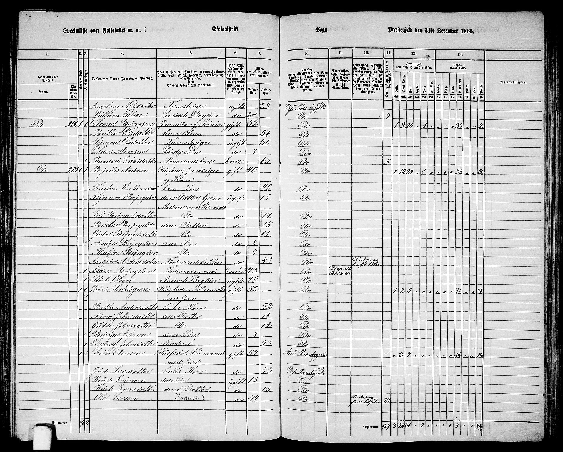 RA, 1865 census for Voss, 1865, p. 110