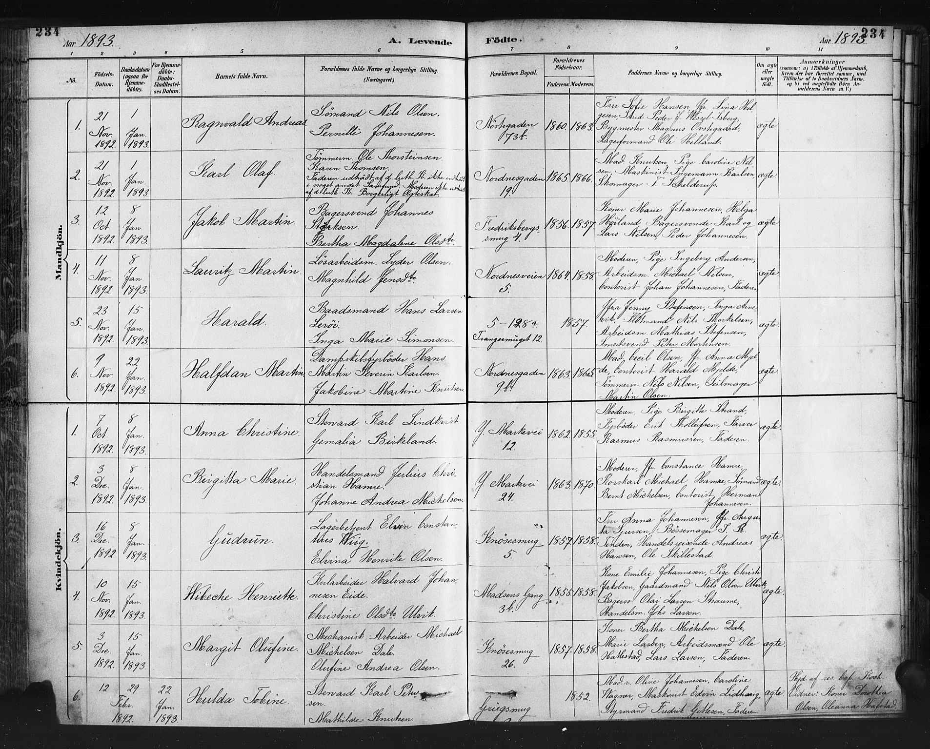 Nykirken Sokneprestembete, SAB/A-77101/H/Haa: Parish register (official) no. B 5, 1885-1894, p. 234