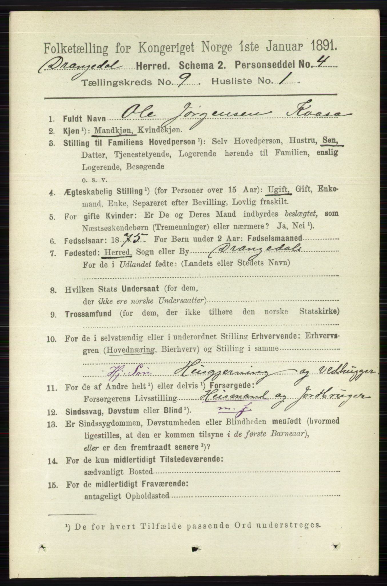 RA, 1891 census for 0817 Drangedal, 1891, p. 3126