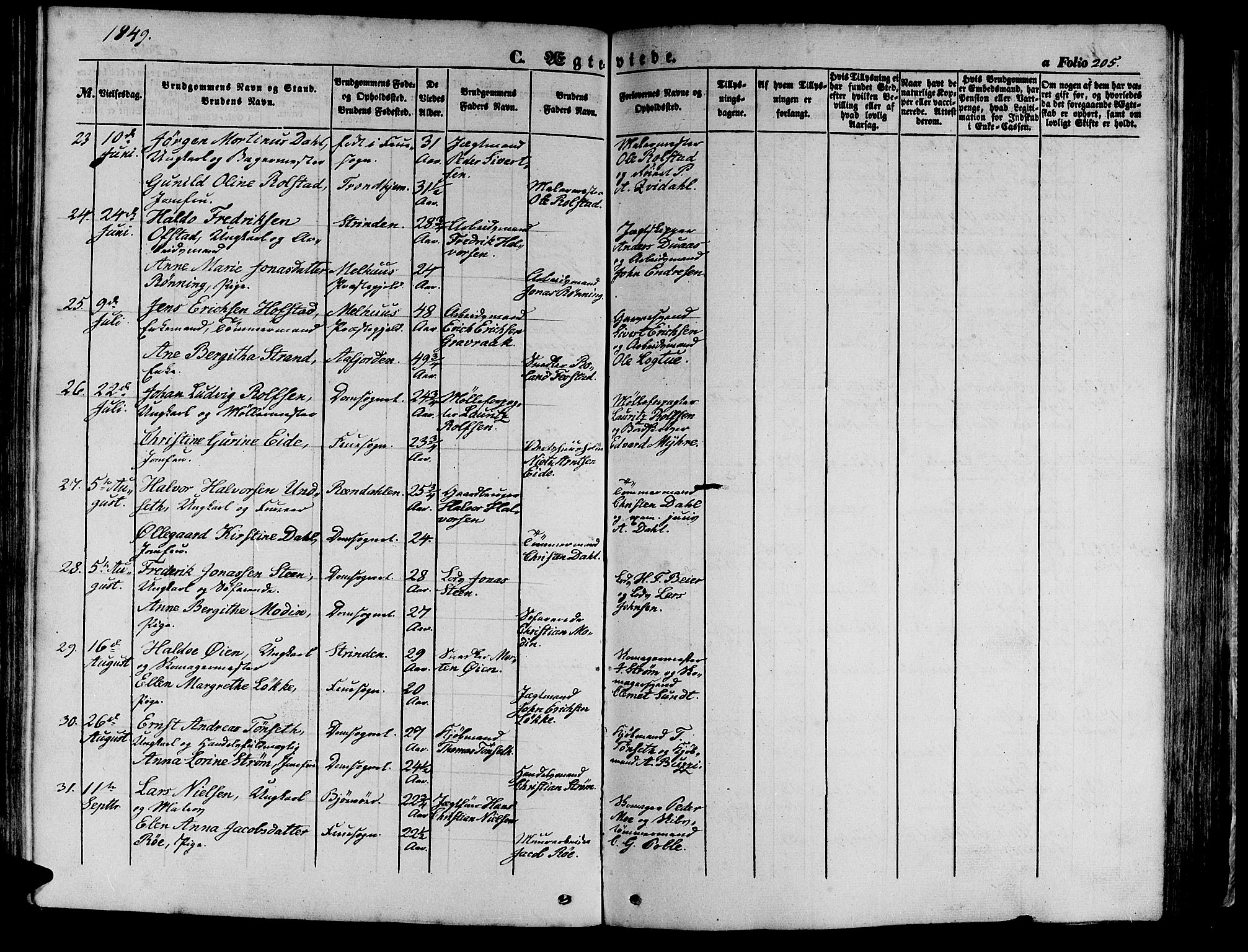 Ministerialprotokoller, klokkerbøker og fødselsregistre - Sør-Trøndelag, SAT/A-1456/602/L0137: Parish register (copy) no. 602C05, 1846-1856, p. 205