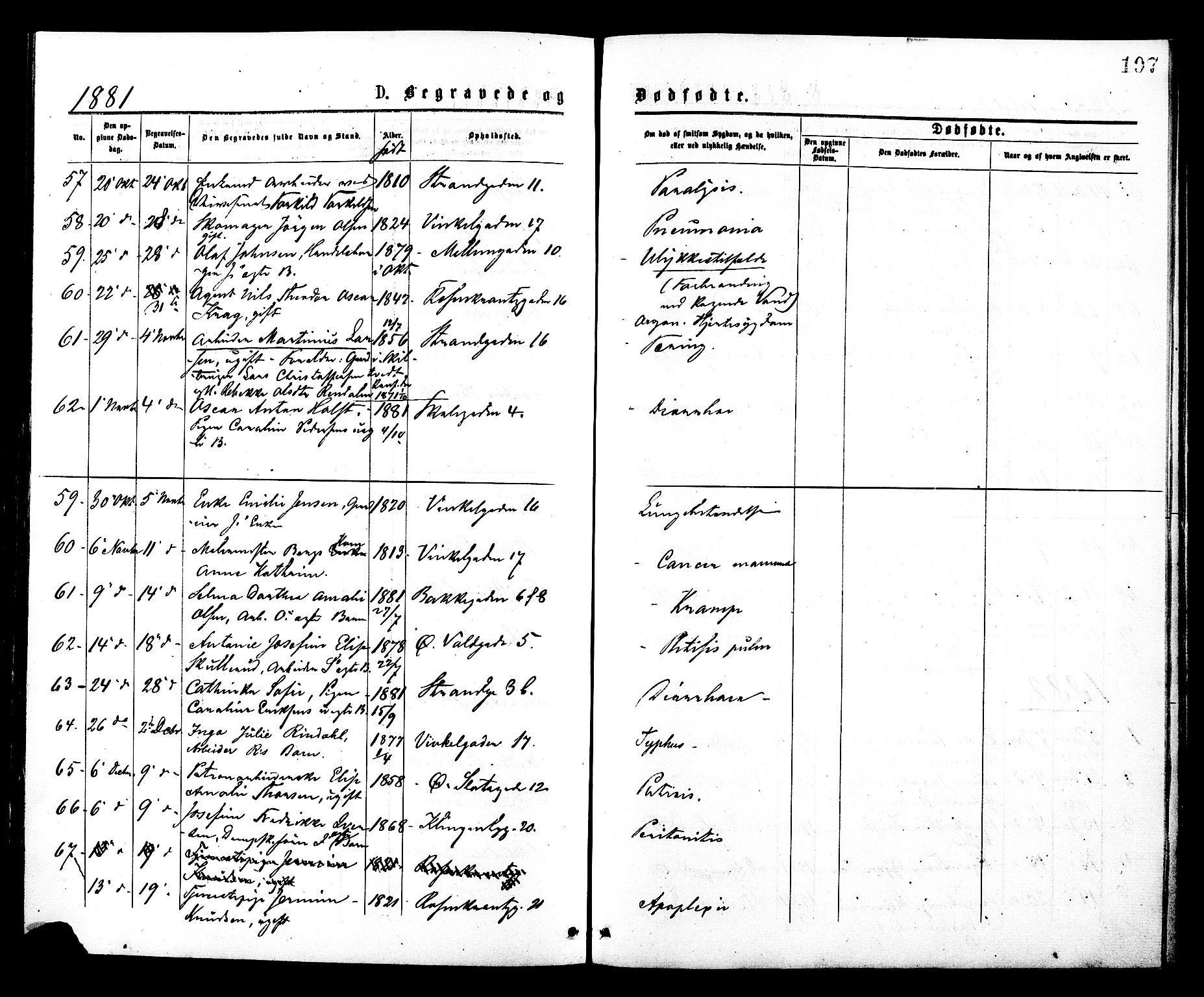 Johannes prestekontor Kirkebøker, AV/SAO-A-10852/F/Fa/L0002: Parish register (official) no. 2, 1875-1882, p. 197