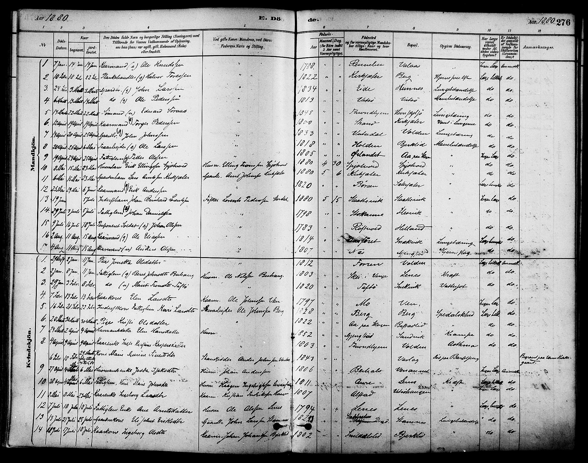 Ministerialprotokoller, klokkerbøker og fødselsregistre - Sør-Trøndelag, SAT/A-1456/630/L0496: Parish register (official) no. 630A09, 1879-1895, p. 276