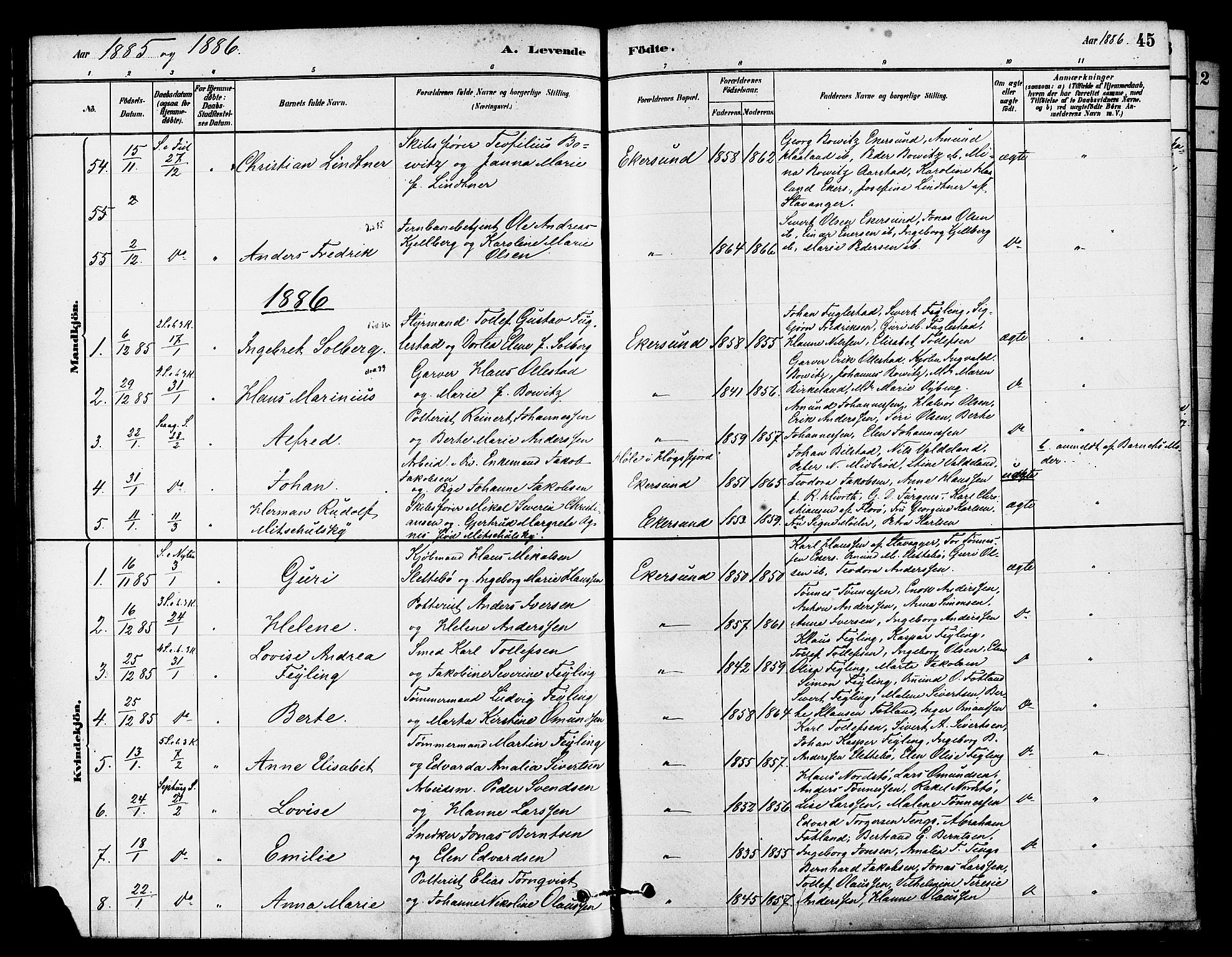 Eigersund sokneprestkontor, AV/SAST-A-101807/001/30/30BA/L0015: Parish register (official) no. A 15, 1879-1892, p. 45