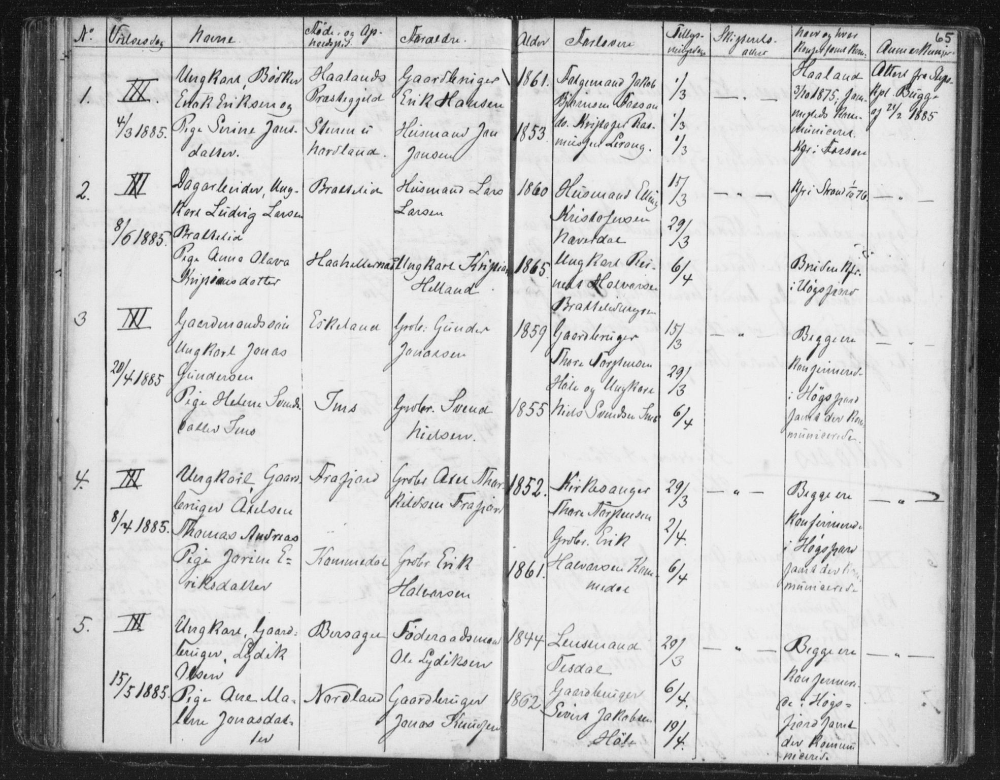 Høgsfjord sokneprestkontor, SAST/A-101624/I/Ie/L0001: Banns register no. 705.BA.1, 1871-1899, p. 65