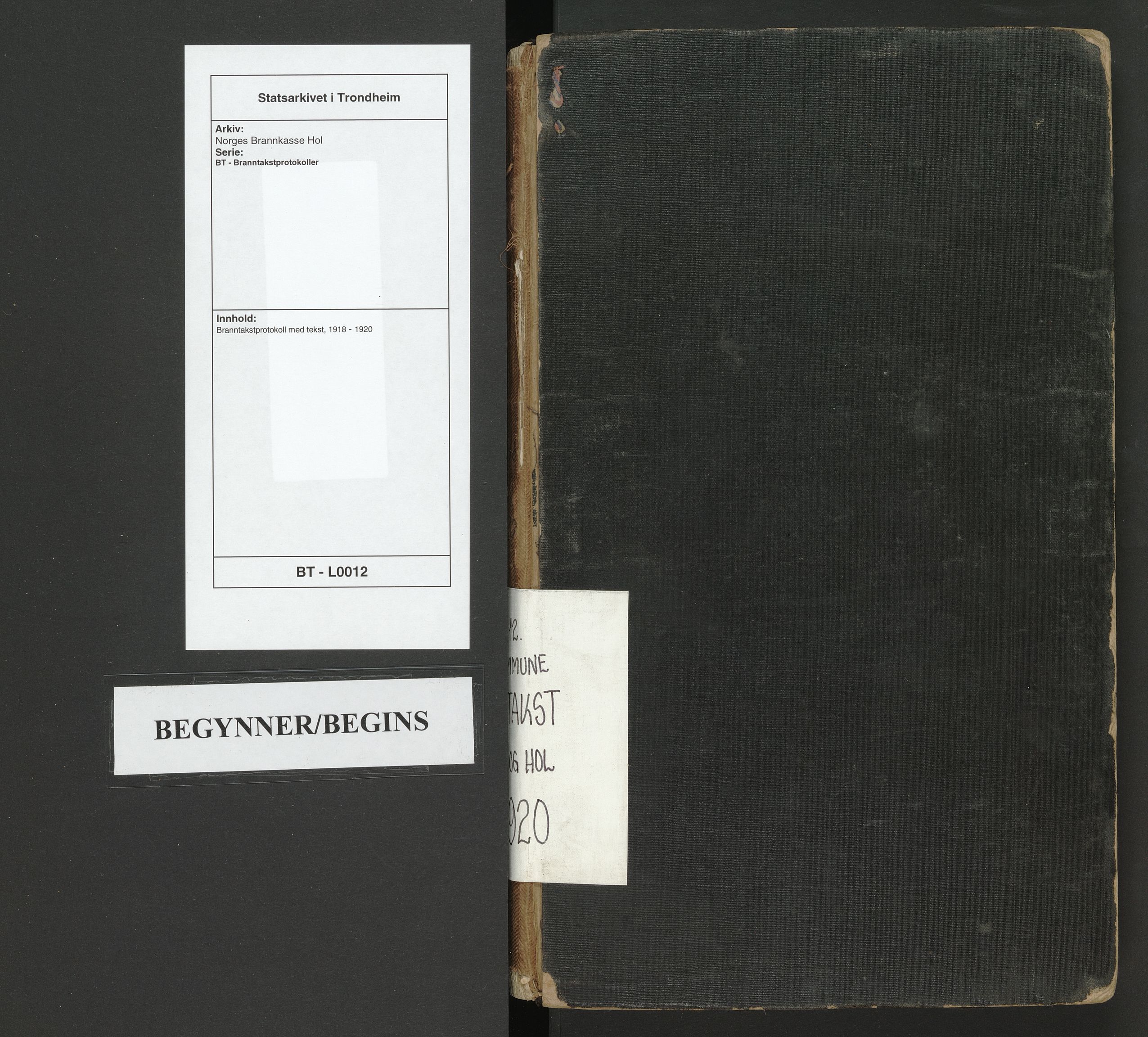 Norges Brannkasse Hol, SAT/A-5601/BT/L0012: Branntakstprotokoll med tekst, 1918-1920