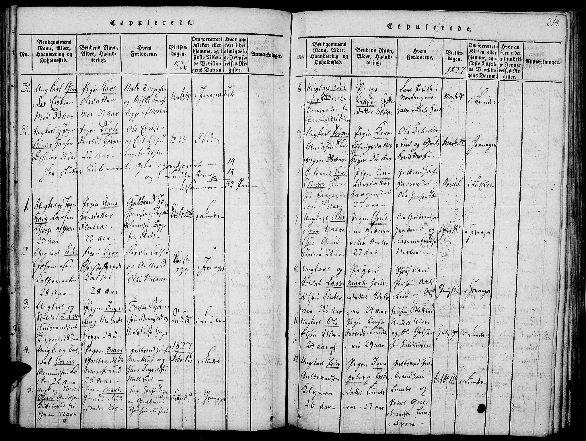 Jevnaker prestekontor, SAH/PREST-116/H/Ha/Haa/L0005: Parish register (official) no. 5, 1815-1837, p. 214