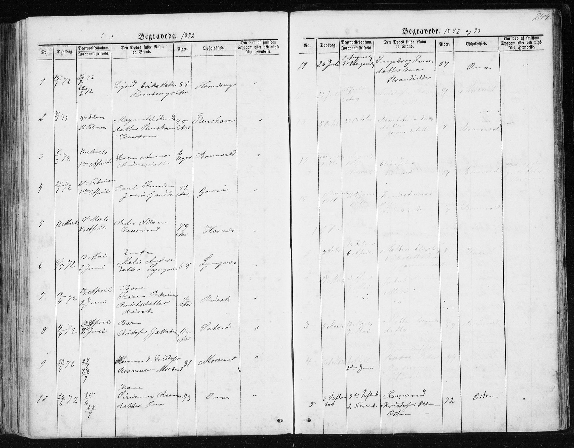 Ministerialprotokoller, klokkerbøker og fødselsregistre - Møre og Romsdal, AV/SAT-A-1454/561/L0732: Parish register (copy) no. 561C02, 1867-1900, p. 244