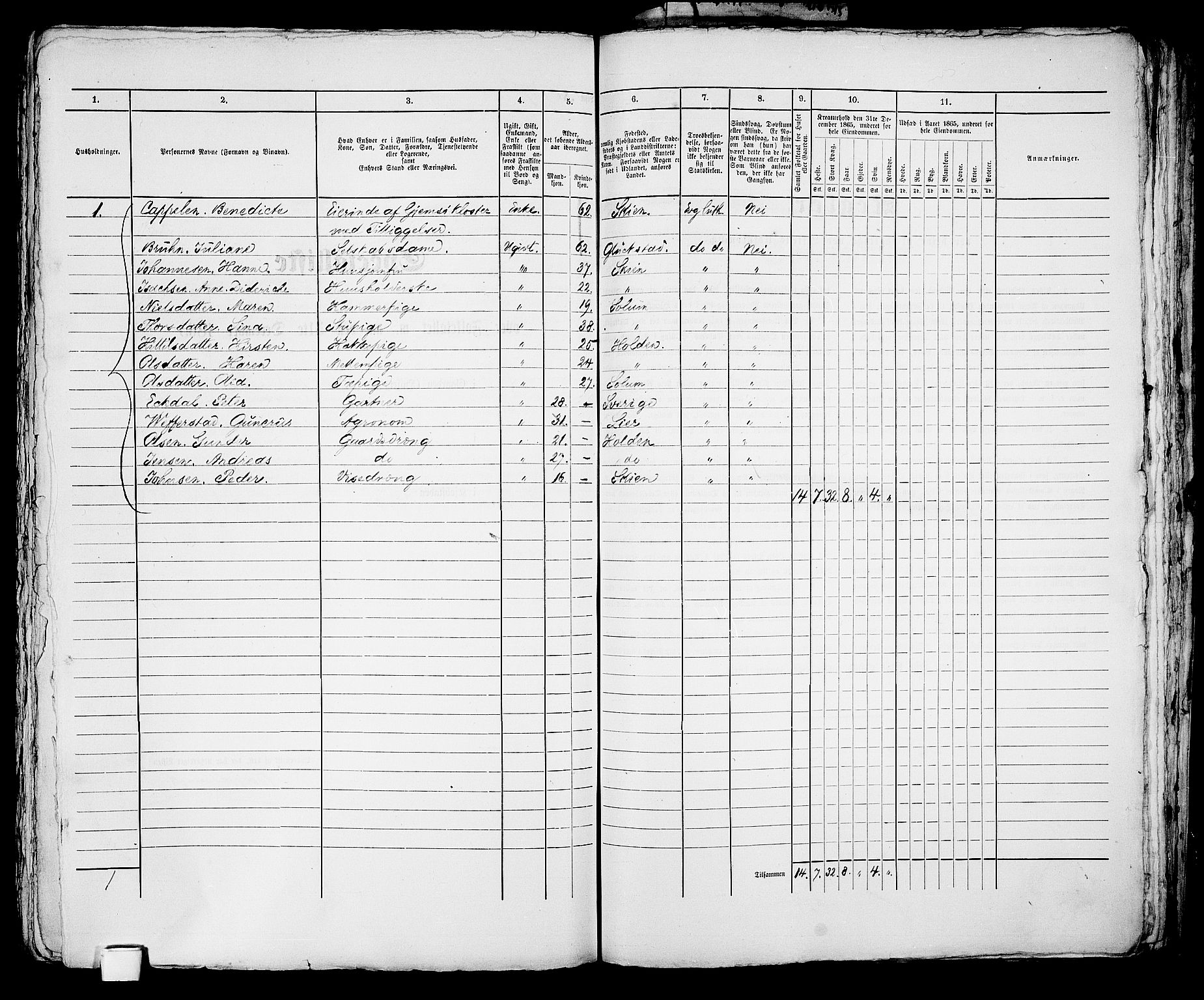 RA, 1865 census for Skien, 1865, p. 1207