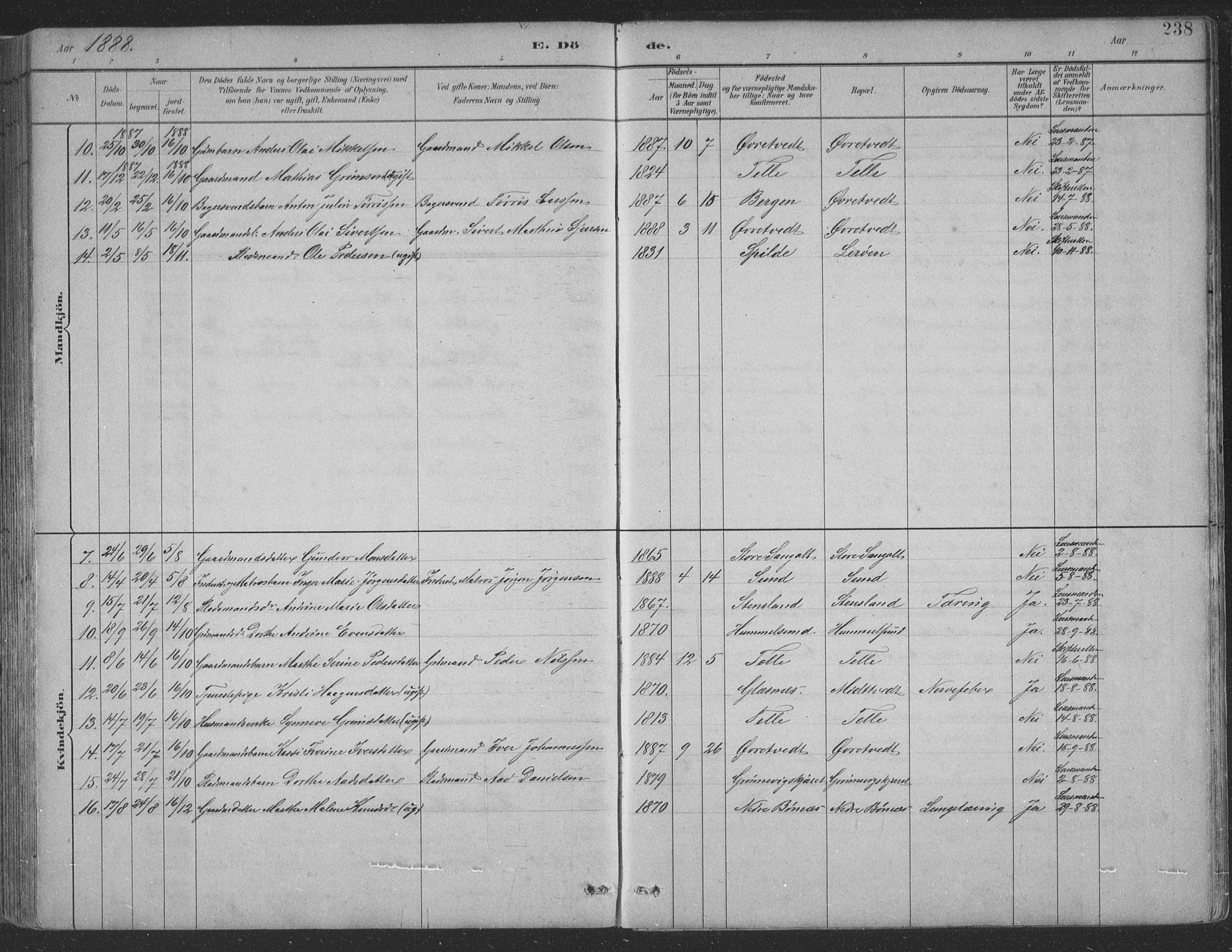 Sund sokneprestembete, AV/SAB-A-99930: Parish register (copy) no. B 3, 1882-1911, p. 238