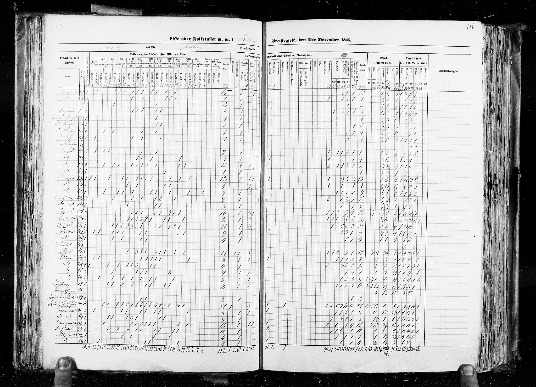 RA, Census 1845, vol. 4: Buskerud amt og Jarlsberg og Larvik amt, 1845, p. 136