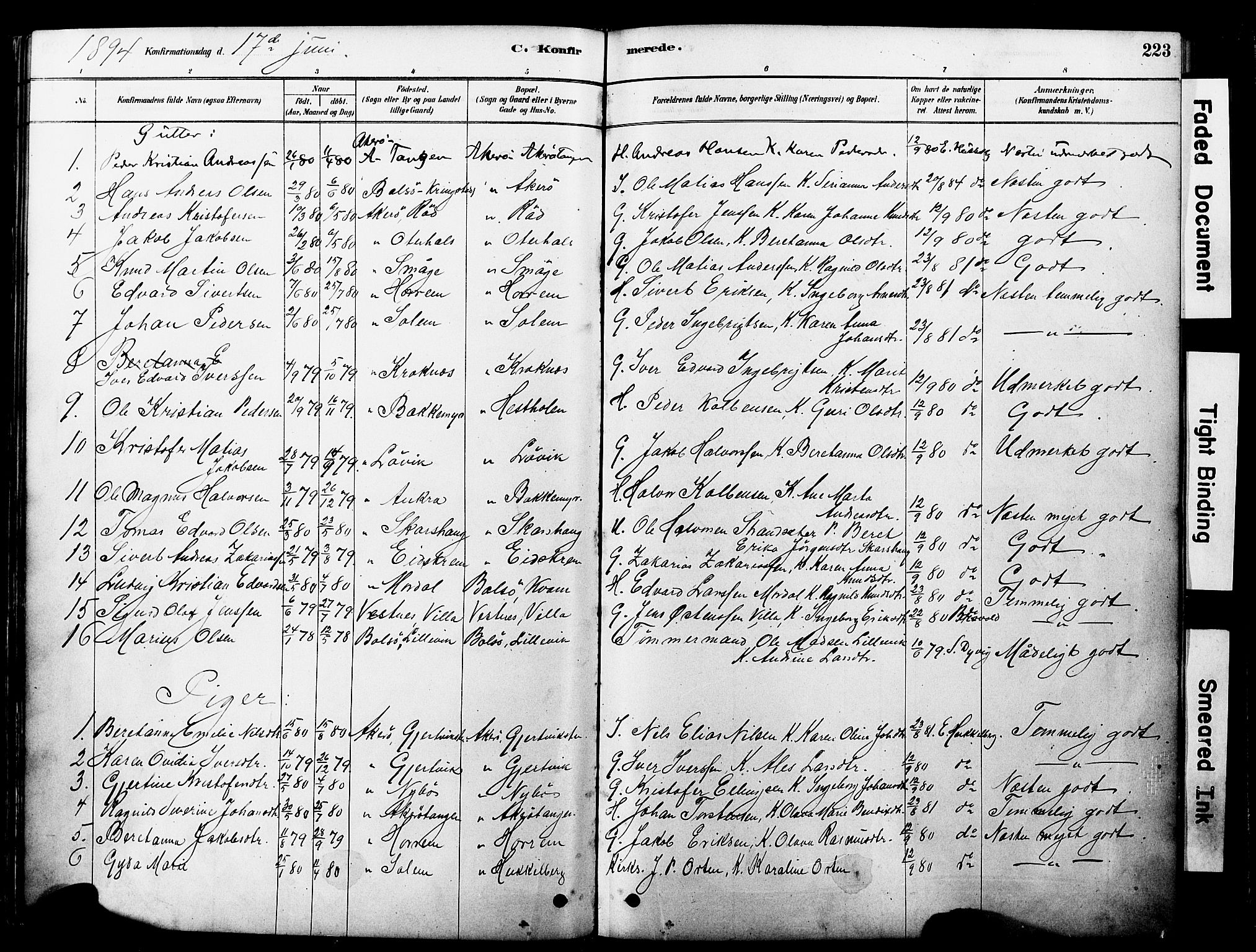 Ministerialprotokoller, klokkerbøker og fødselsregistre - Møre og Romsdal, SAT/A-1454/560/L0721: Parish register (official) no. 560A05, 1878-1917, p. 223