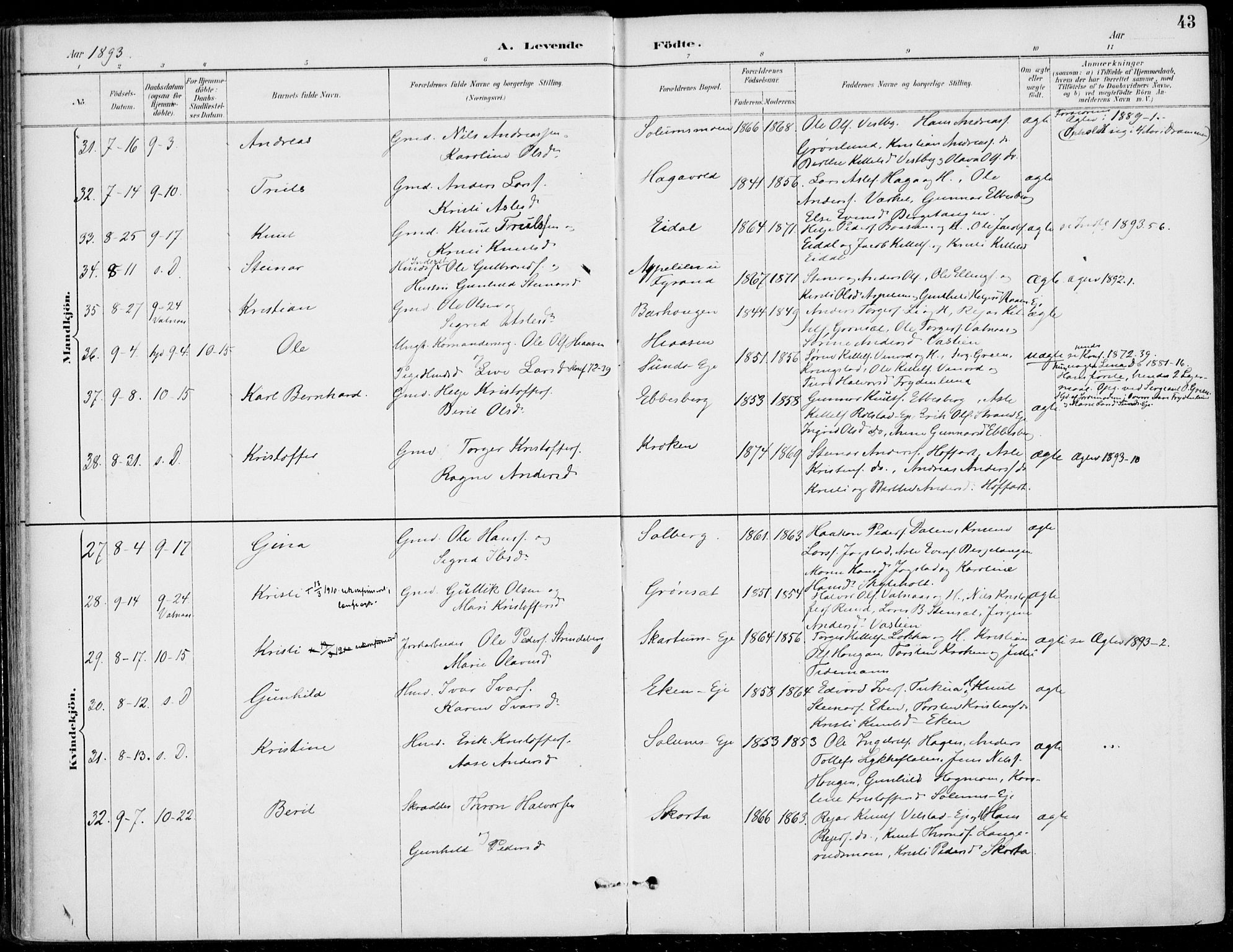 Sigdal kirkebøker, AV/SAKO-A-245/F/Fb/L0001: Parish register (official) no. II 1, 1888-1900, p. 43