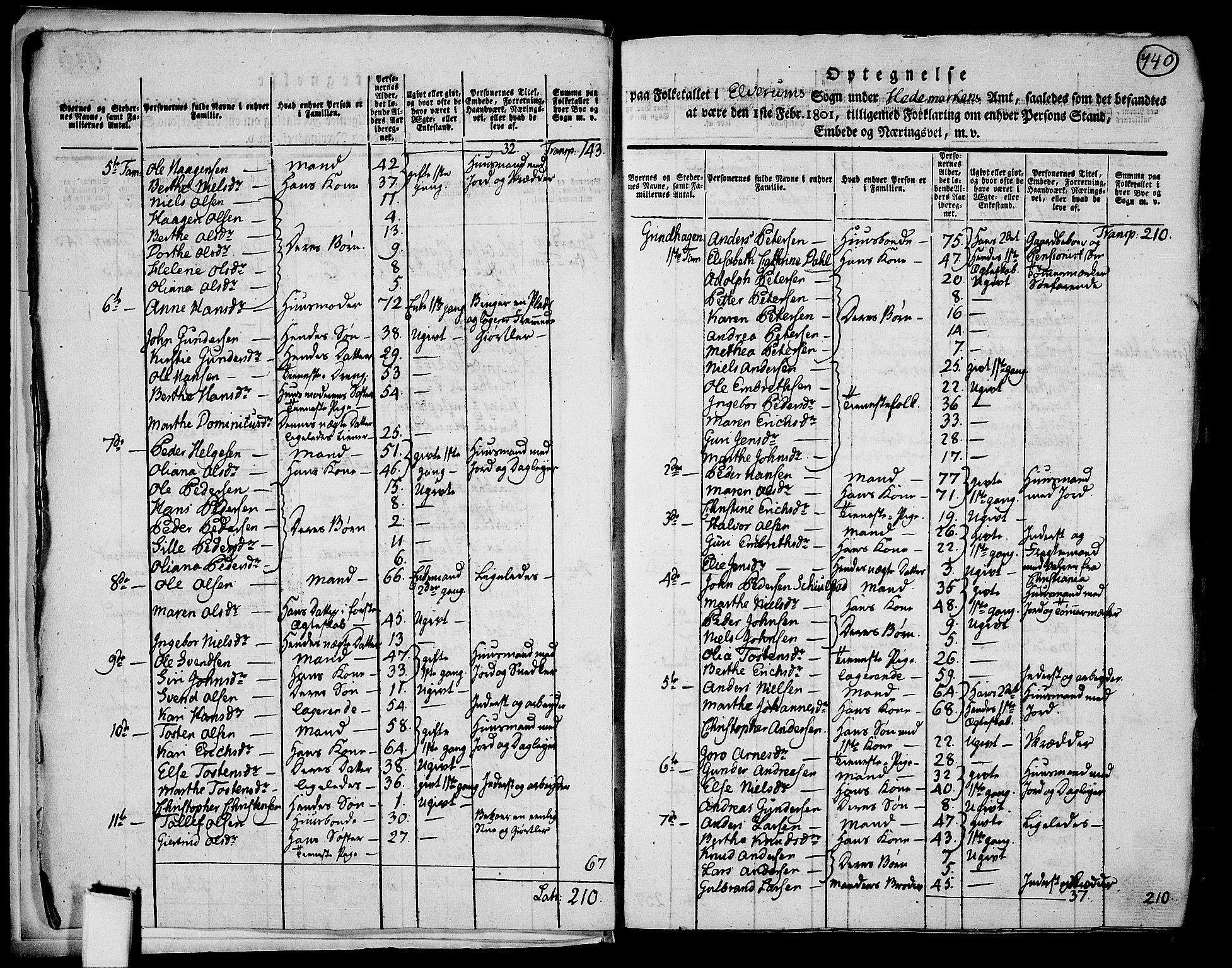 RA, 1801 census for 0427P Elverum, 1801, p. 739b-740a