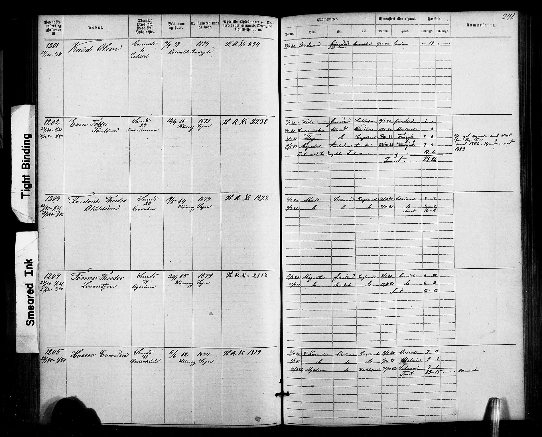 Lillesand mønstringskrets, SAK/2031-0014/F/Fa/L0002: Annotasjonsrulle nr 1-1910 med register, W-8, 1868-1891, p. 247